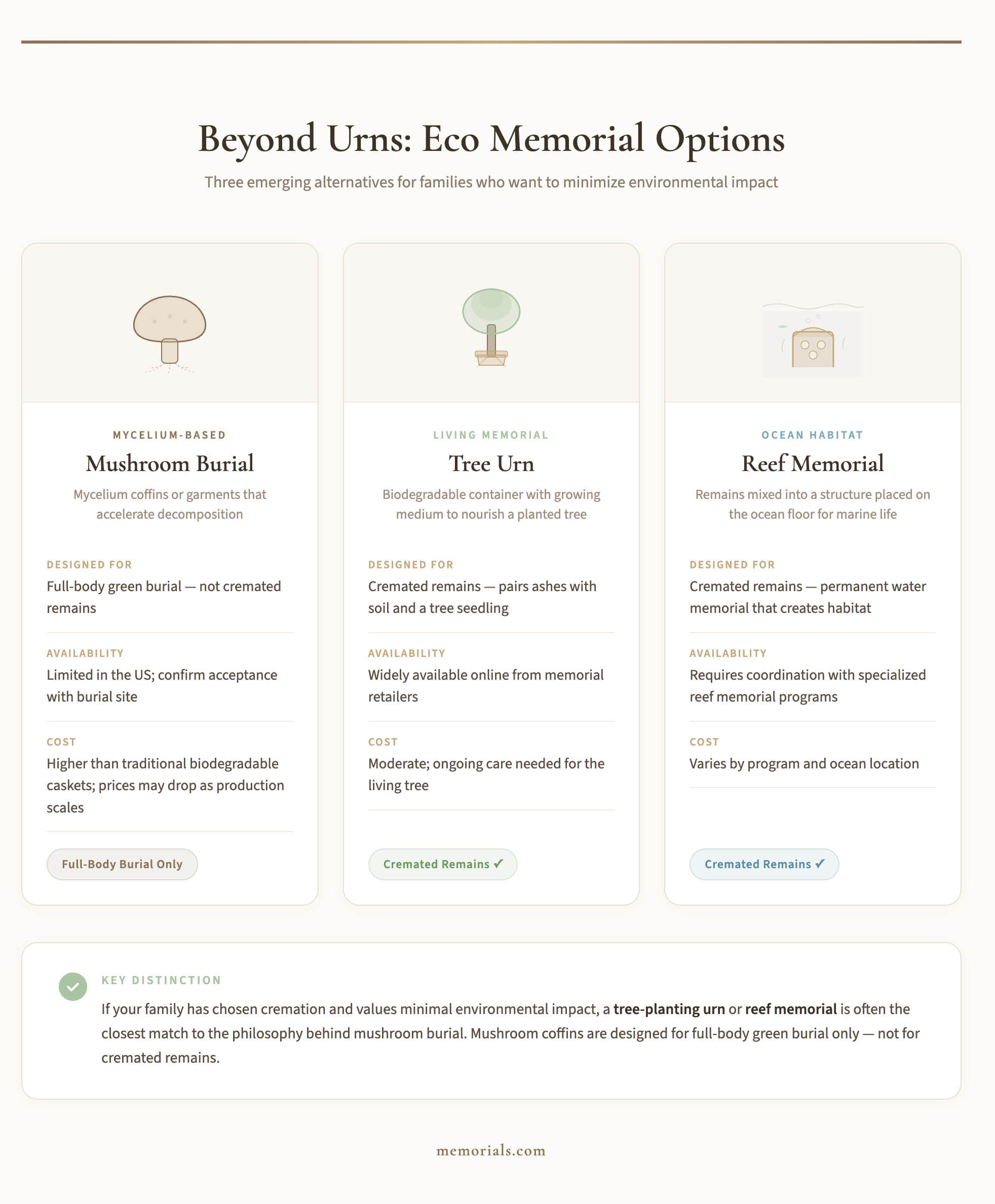 Three eco-friendly memorial alternatives beyond biodegradable urns: mushroom burial, tree urn memorials, and reef memorials