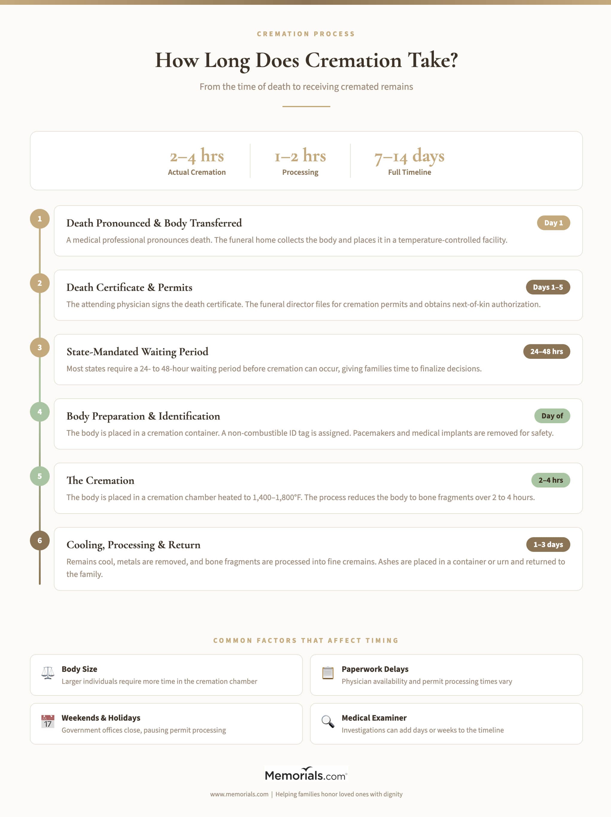 Infographic showing the six steps of the cremation process from death to receiving ashes, with timelines for each stage totaling 7 to 14 days, plus common factors that affect timing