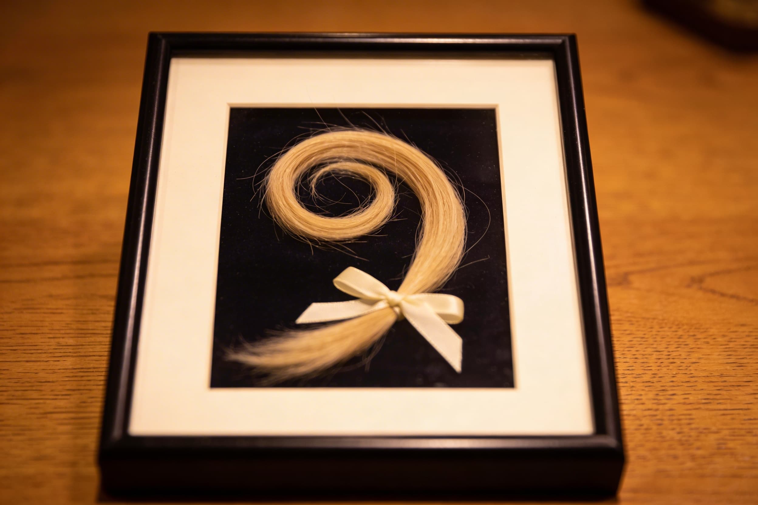 A delicate lock of hair tied with a small ribbon displayed in an open shadow box on a cream velvet backing, showing how to preserve a lock of hair