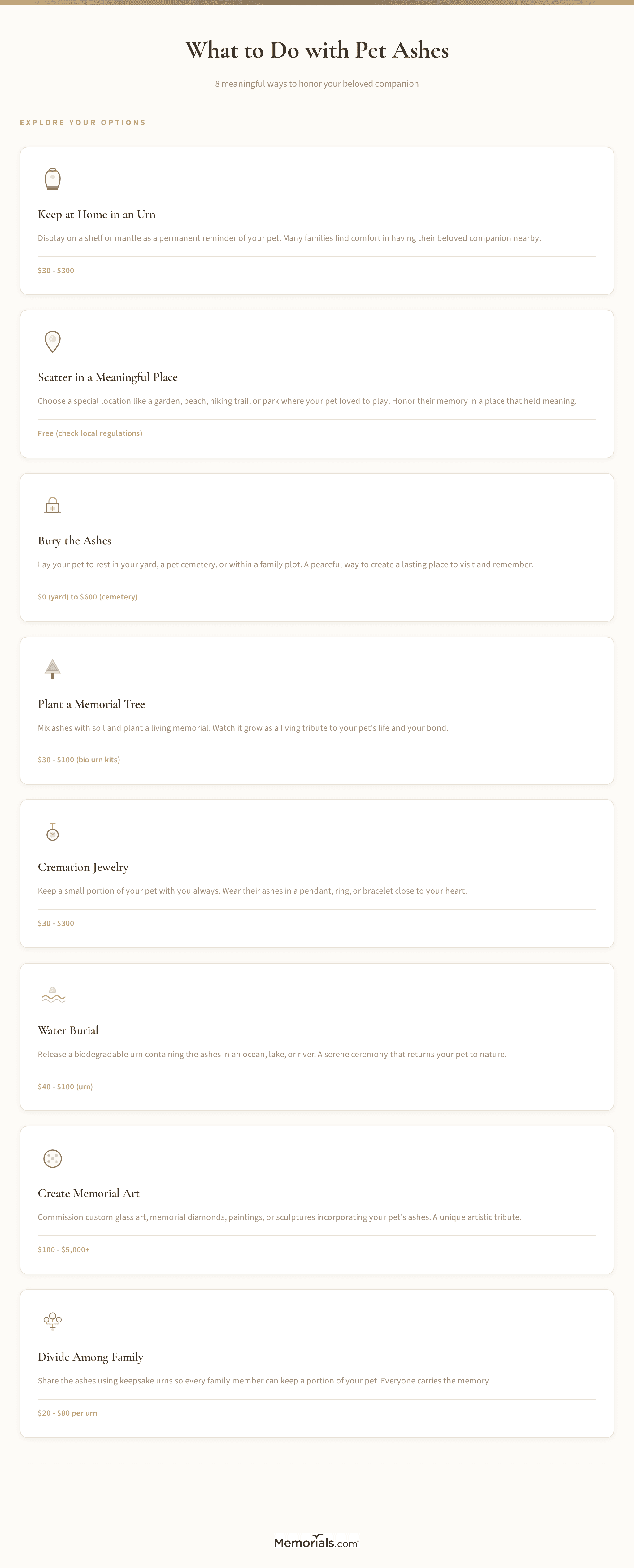 What to do with pet ashes infographic