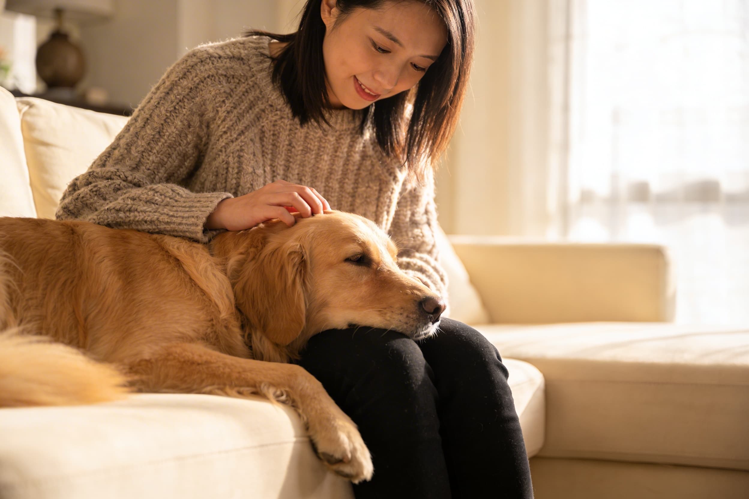 A person sitting on a couch comforting a surviving dog after the loss of a companion pet