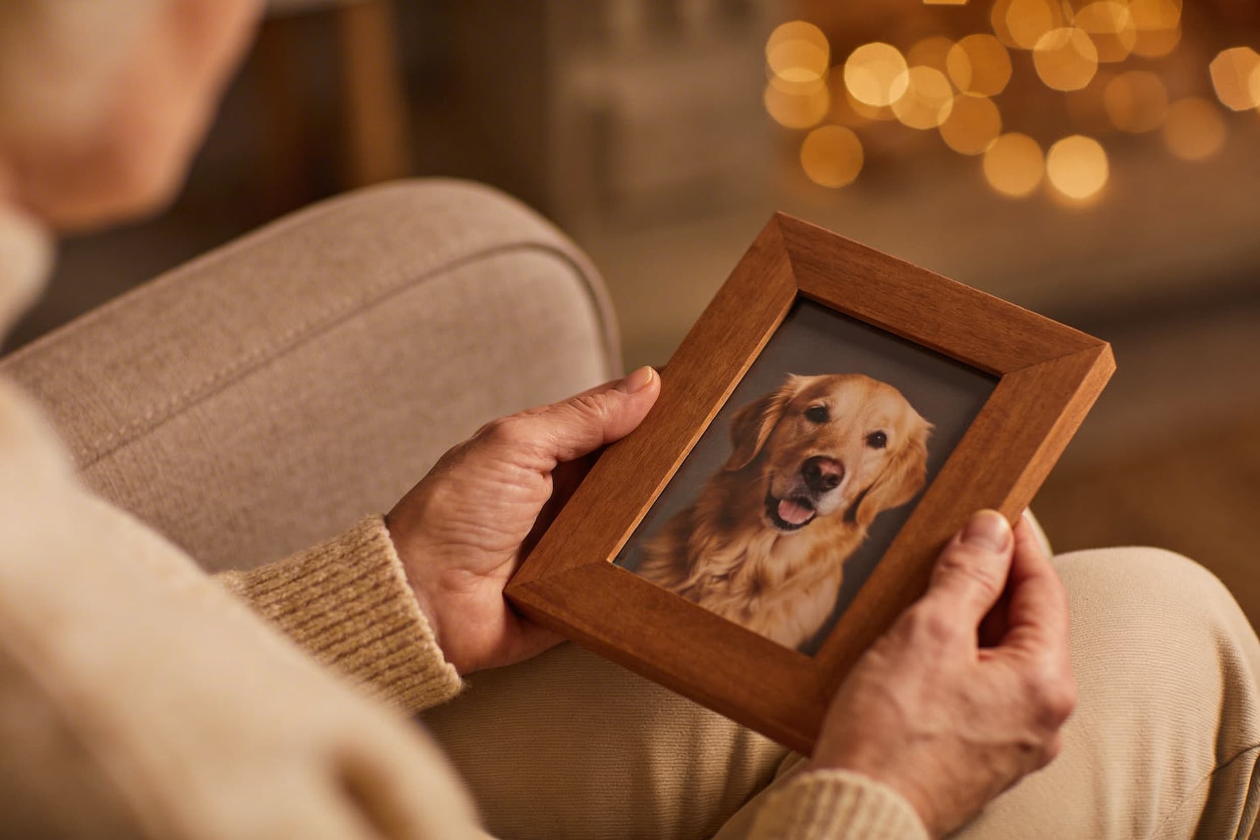 A person's hands holding a framed photograph of a golden retriever in a softly lit room with warm earth tones