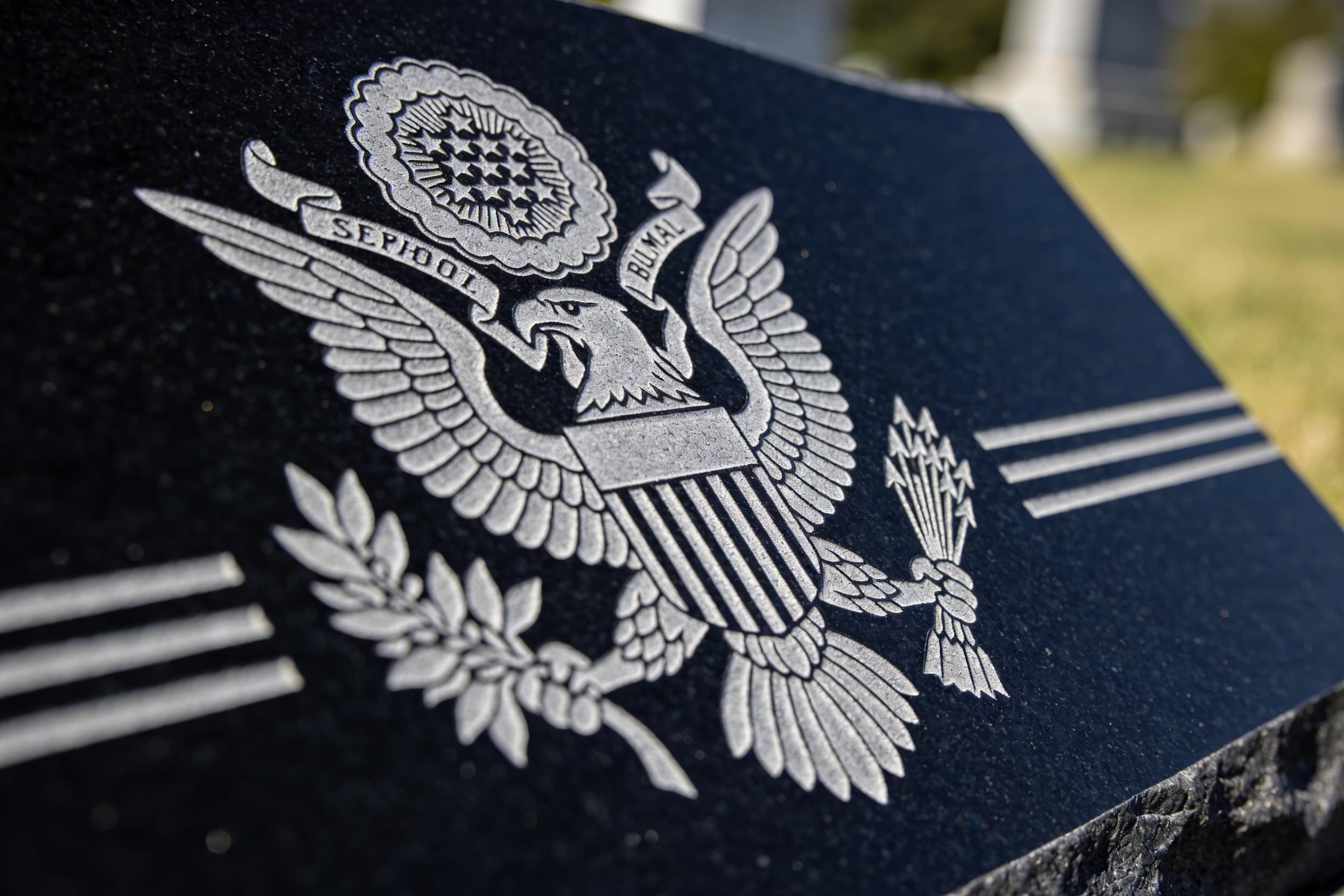A close-up of a military branch emblem precisely laser-etched into polished black granite