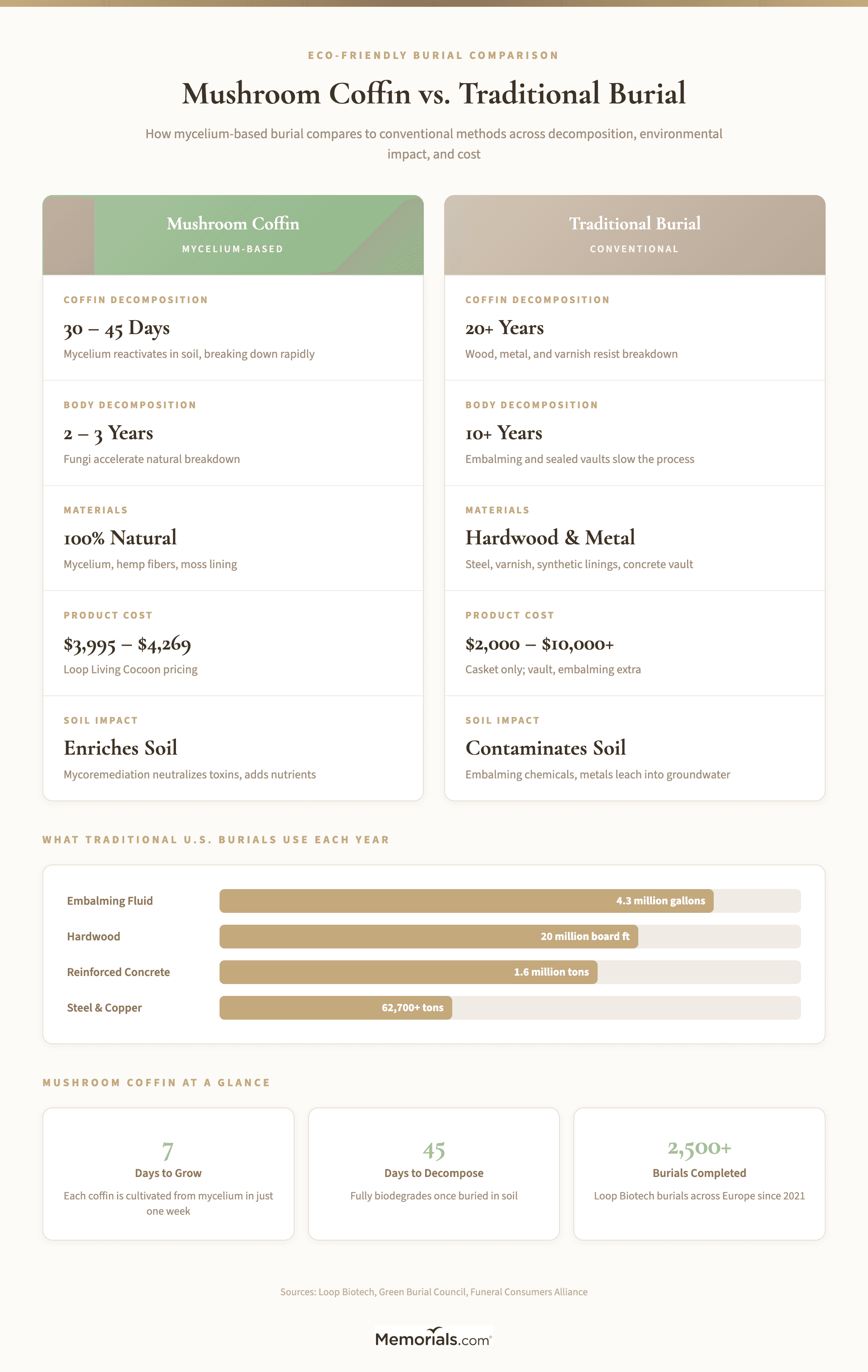 Side-by-side comparison of mushroom coffin vs traditional burial across decomposition time, environmental impact, cost, and materials