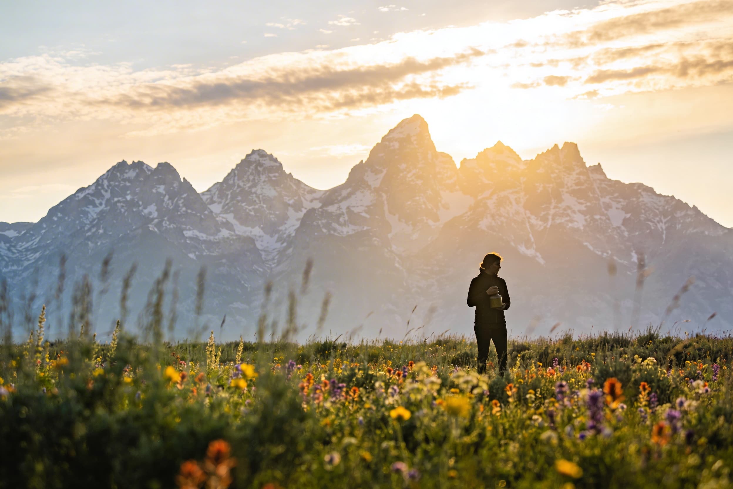 A solitary person standing in an alpine meadow at dawn with snow-capped mountains in the background, holding a small container