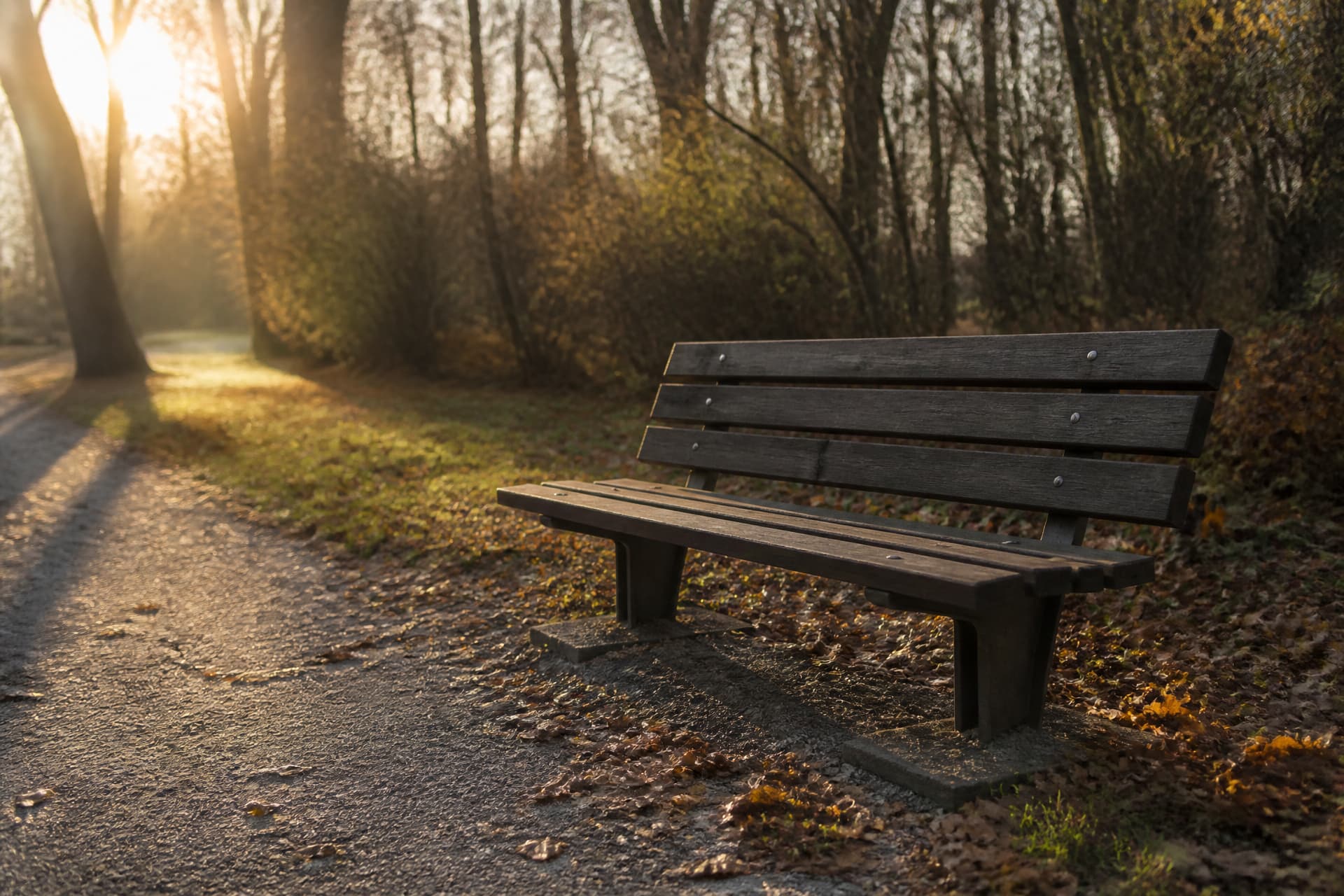 An empty wooden bench beside a gravel path in a quiet park, bare trees and low autumn light behind it, leaves across the ground
