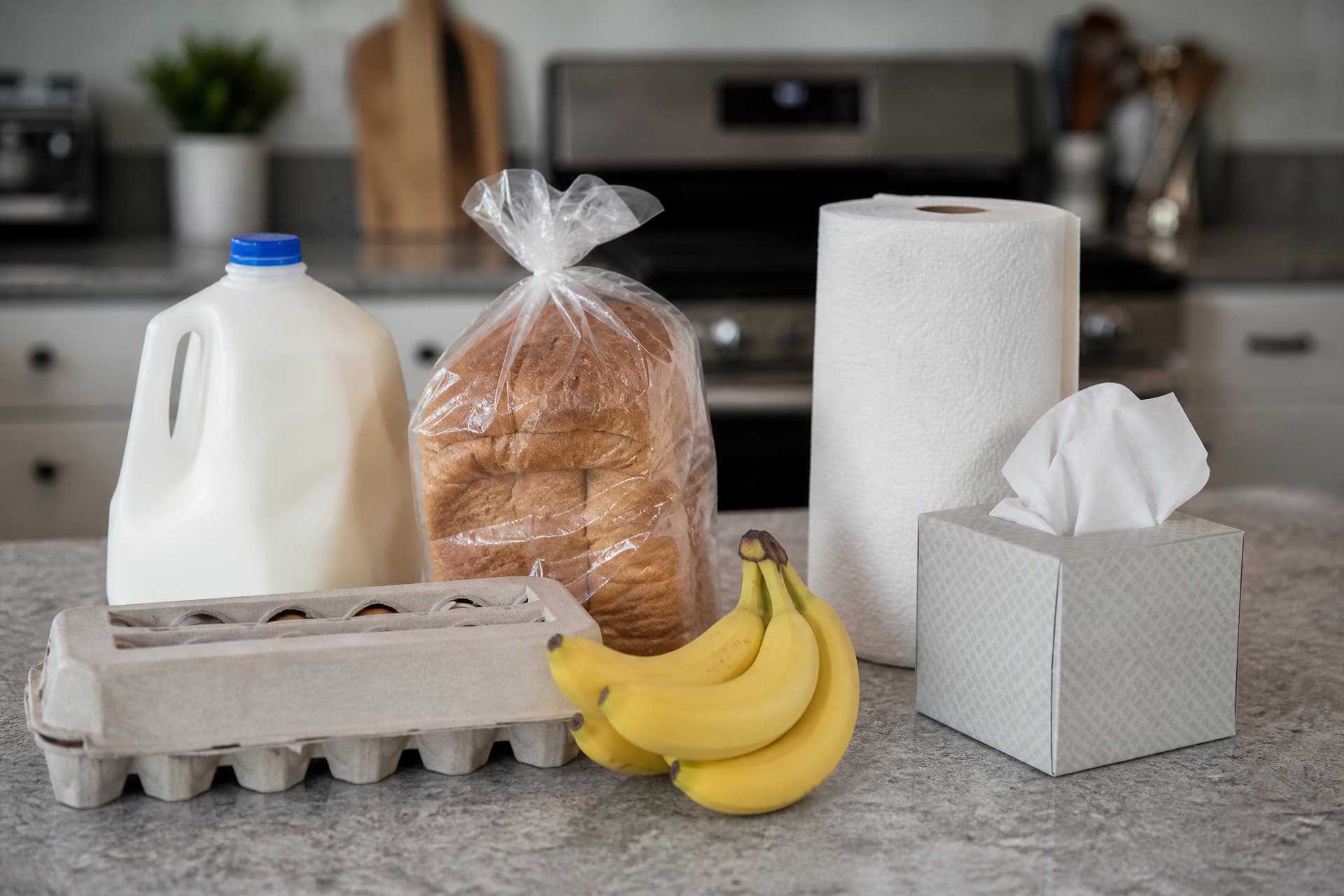 Everyday groceries set out on a kitchen counter โ a gallon of milk, a carton of eggs, a bagged loaf of bread, bananas, a roll of paper towels and a box of tissues