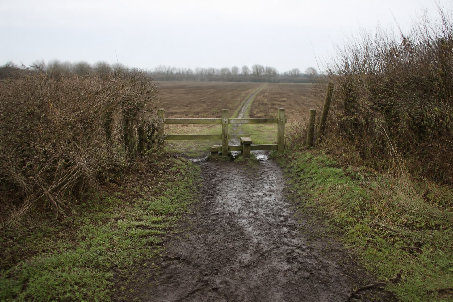 A muddy footpath through winter fields under a pale sky, empty, with a stile in the middle distance