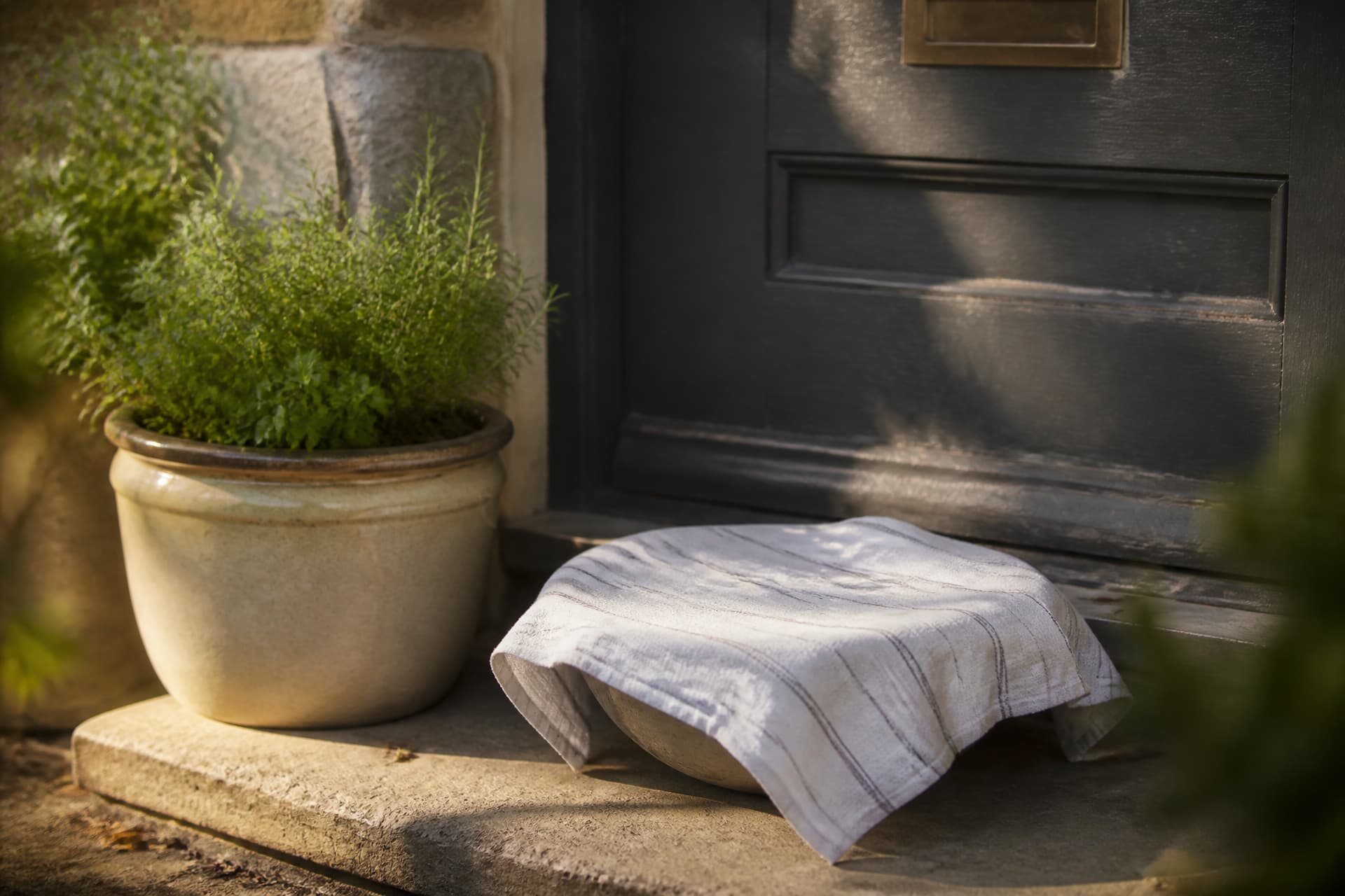 A covered dish wrapped in a striped tea towel resting on a stone doorstep beside a pot of herbs, the front door closed behind it
