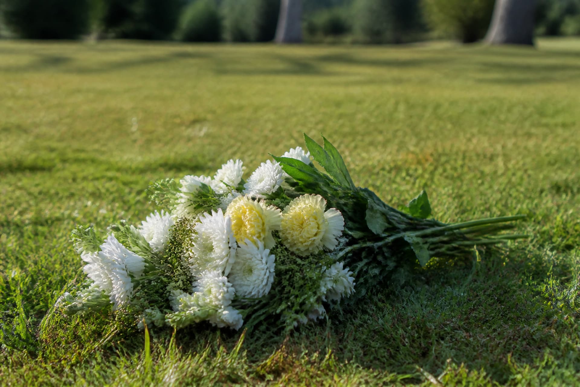 A small bunch of white and cream garden flowers laid on mown cemetery grass in morning light