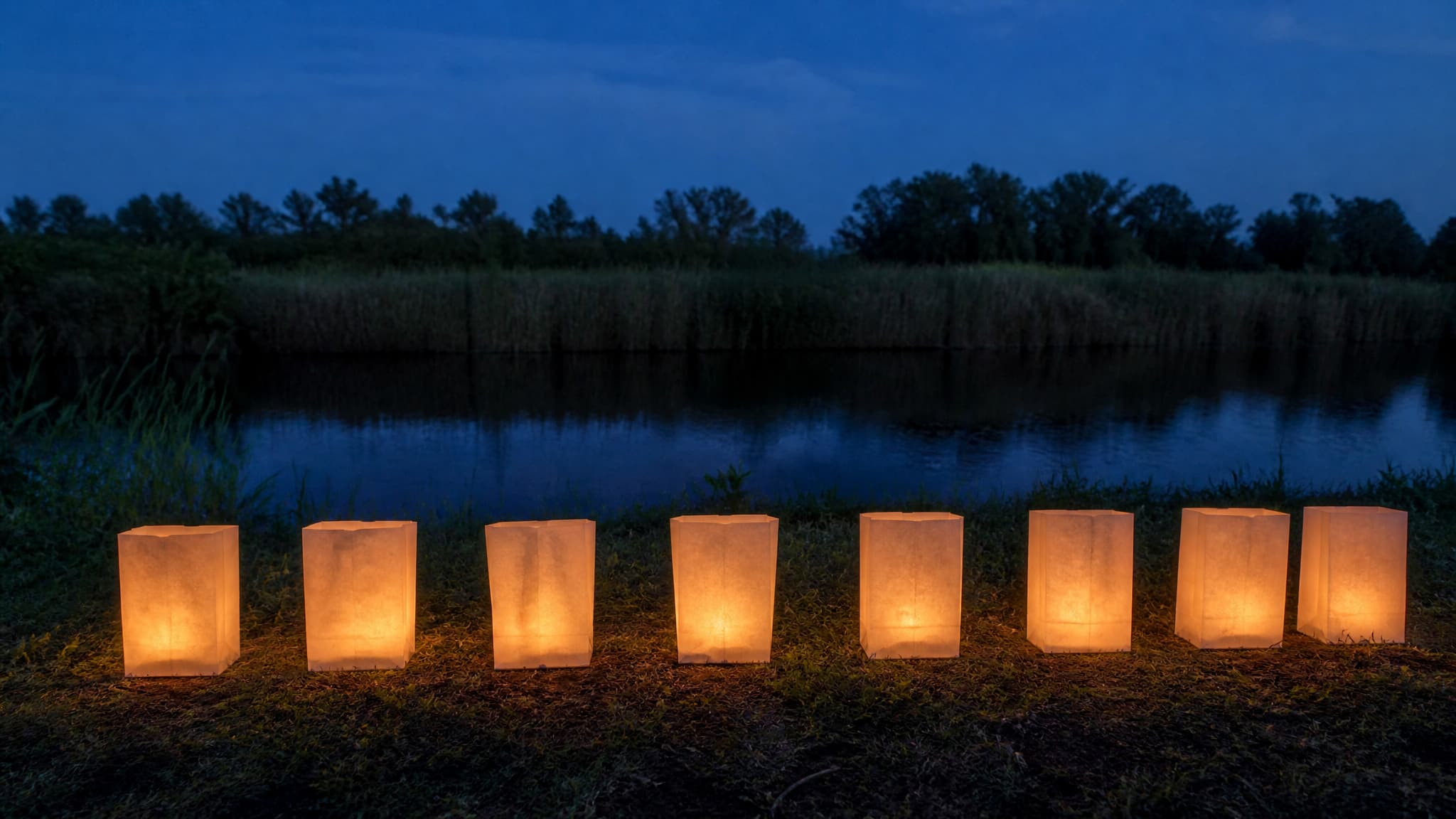 A row of paper lanterns glowing on the ground at dusk beside still water, unreleased, with reeds behind