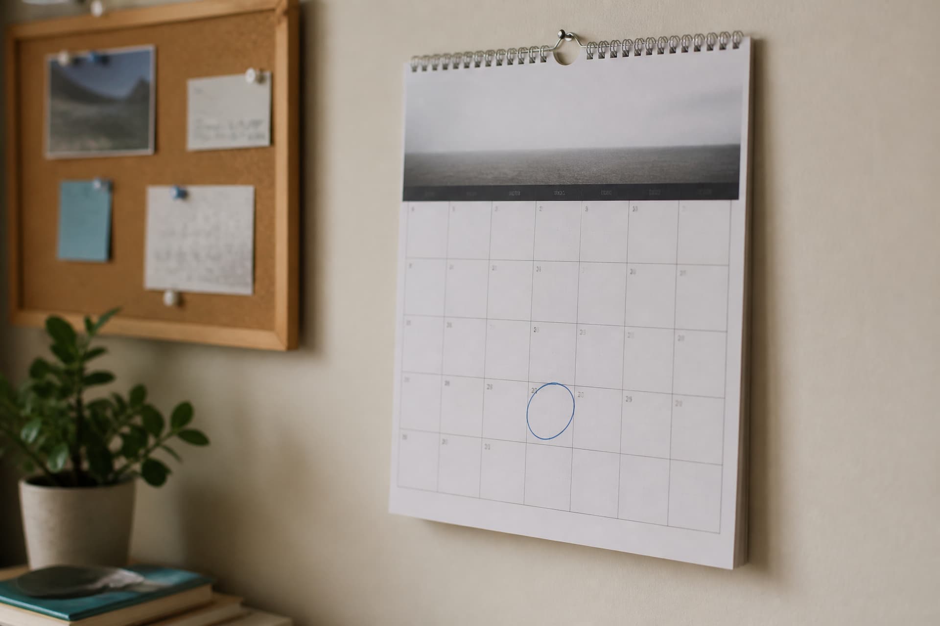 A wall calendar page with a single date circled in pen, hanging beside a small pinboard