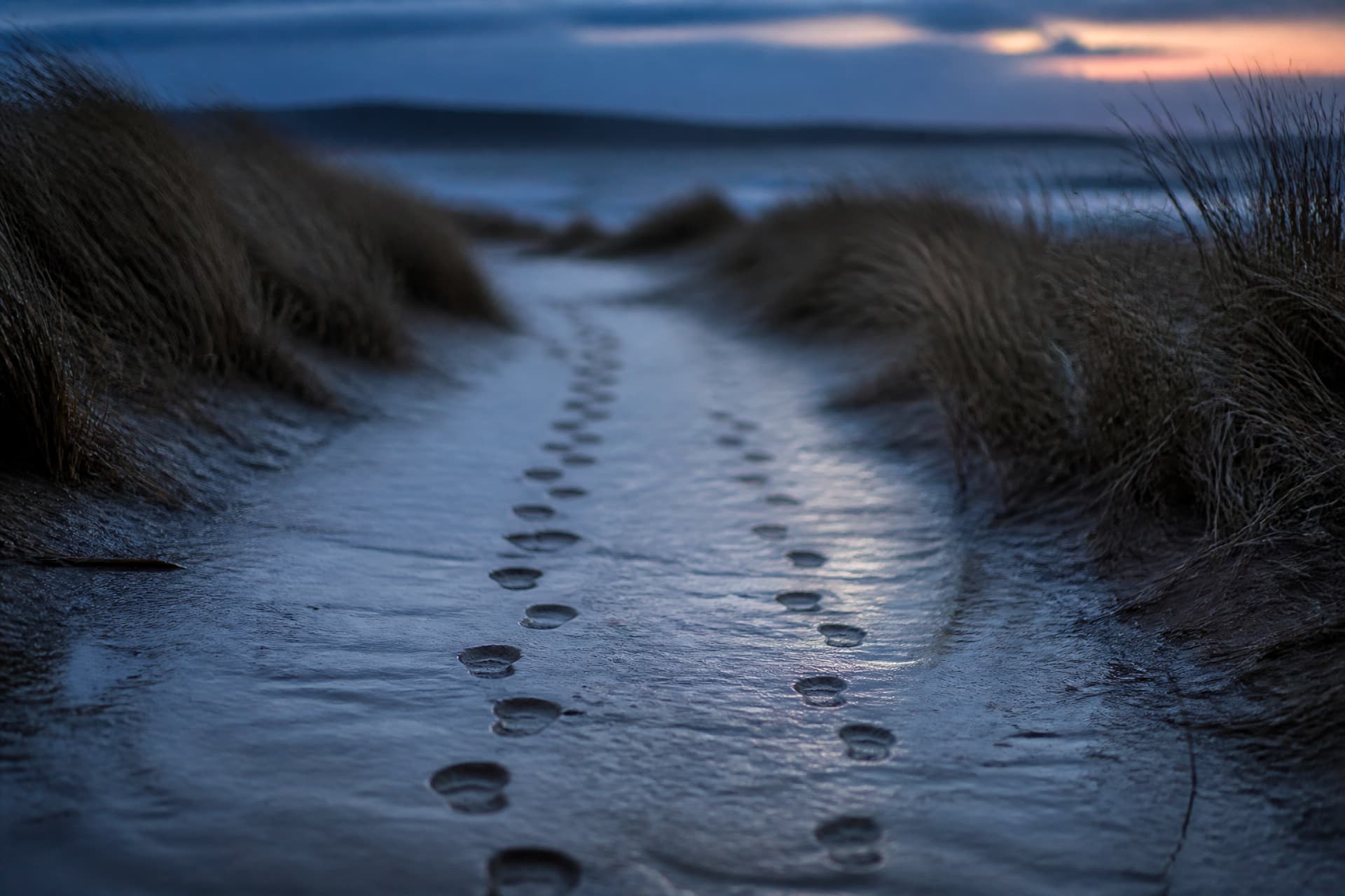 Two sets of footprints on a wet coastal path at low light, the sea out of focus beyond, nobody in frame