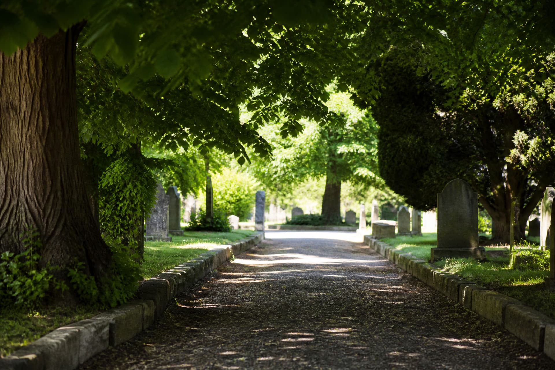 A shaded gravel path leading into a cemetery with dappled sunlight falling through overhead branches