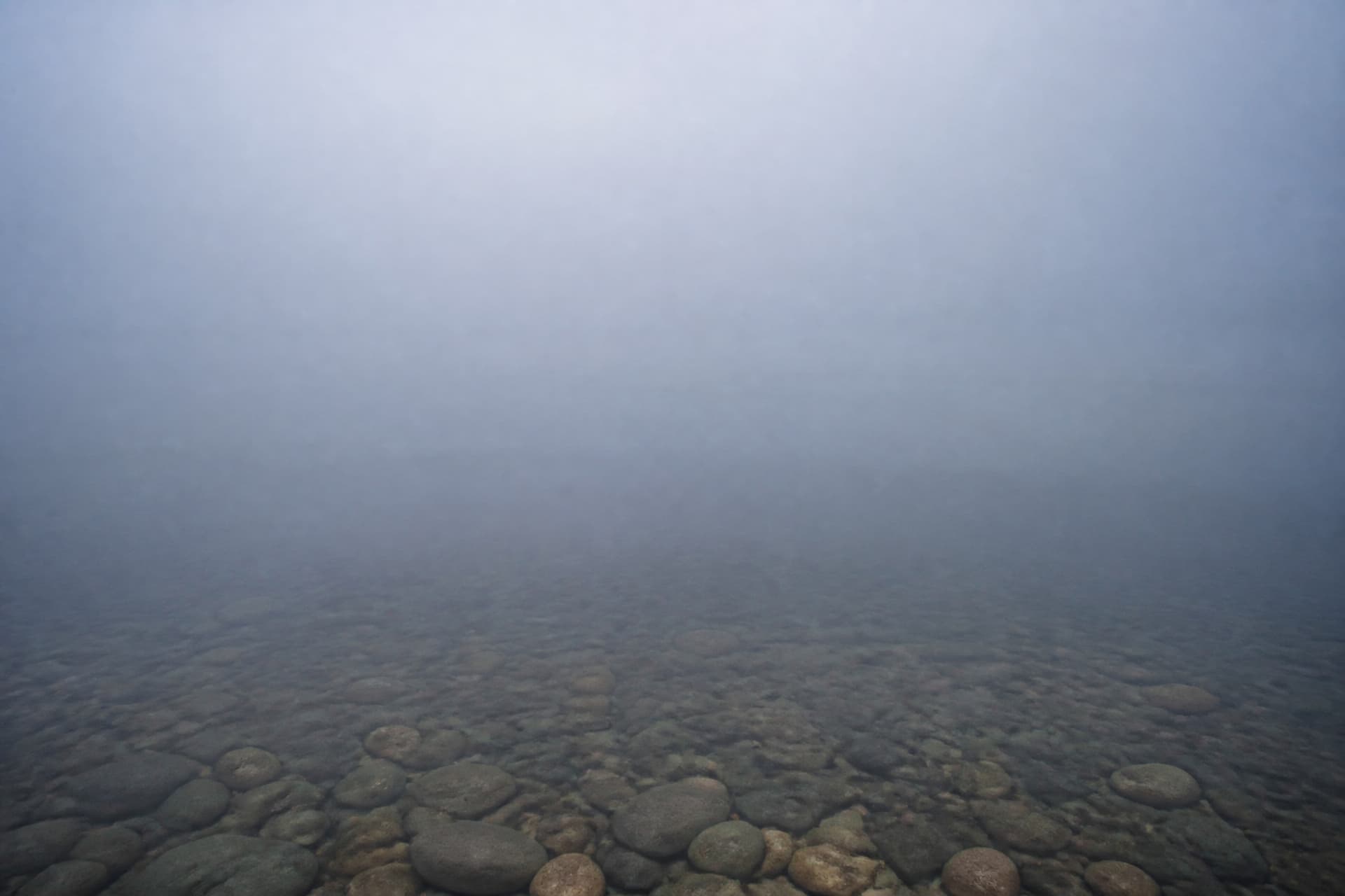 Still shallow water at dawn under low mist, pale light on the surface, the far bank not visible