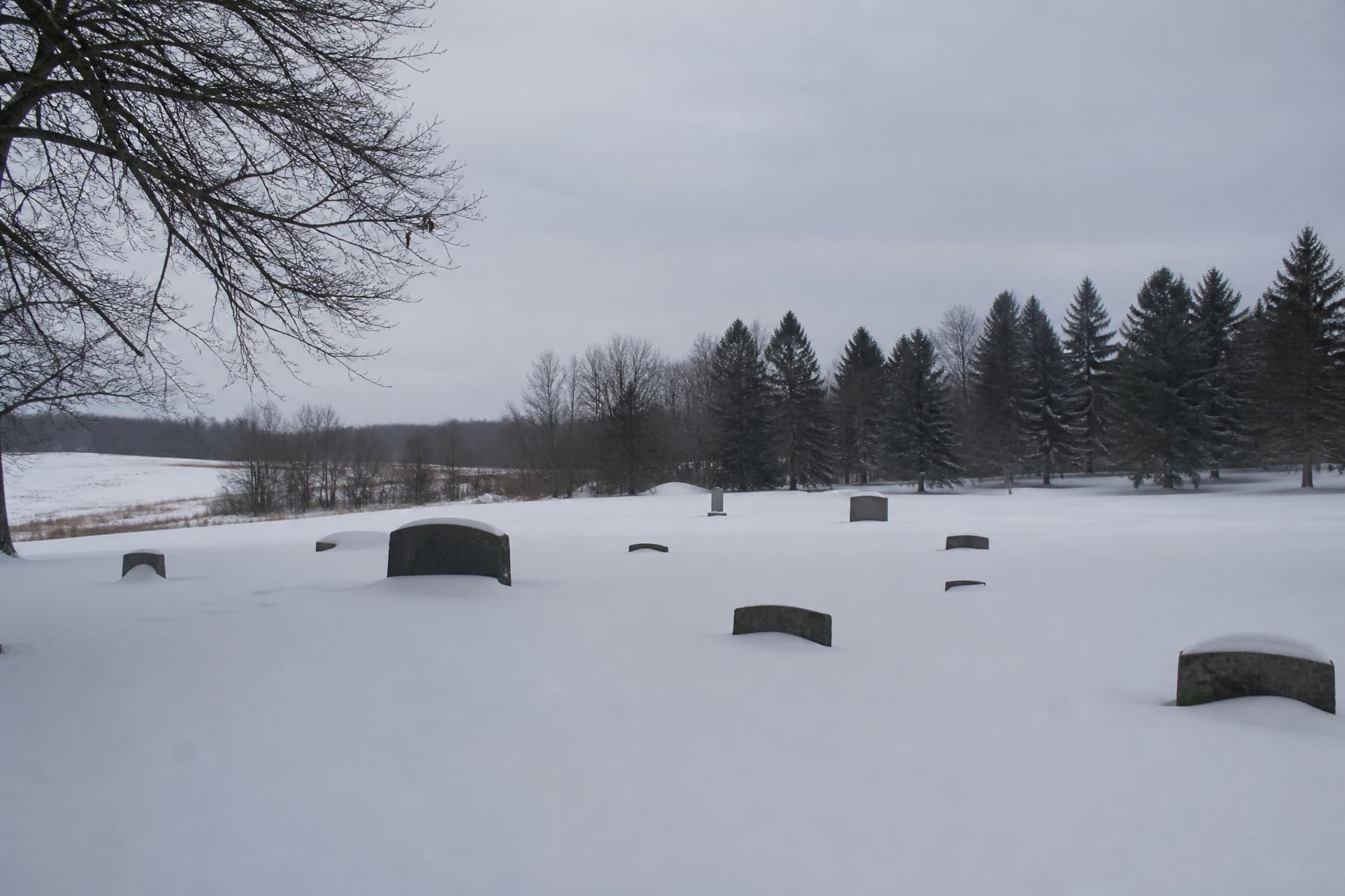 A rural Wisconsin cemetery under deep unbroken snow in midwinter, headstone tops showing above the surface, bare oak branches against a pale gray sky and a line of dark pines at the field edge