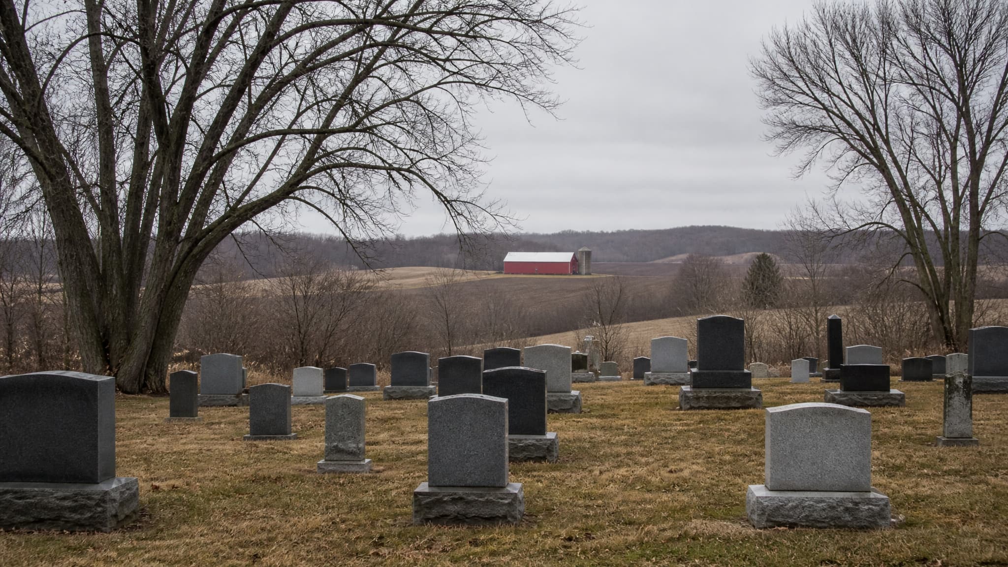 A small Wisconsin cemetery in late autumn with bare maple trees, granite headstones in neat rows on a gentle slope, and a red barn visible across a field in the distance under an overcast sky