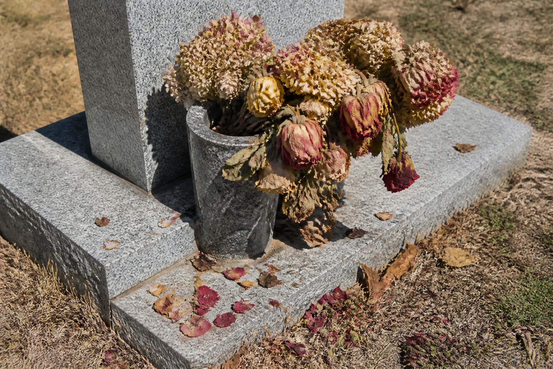 A cemetery vase holding a collapsed bouquet of roses and hydrangea, the heads browned and drooping over the rim with petals scattered on the granite base below and no water left in the vase