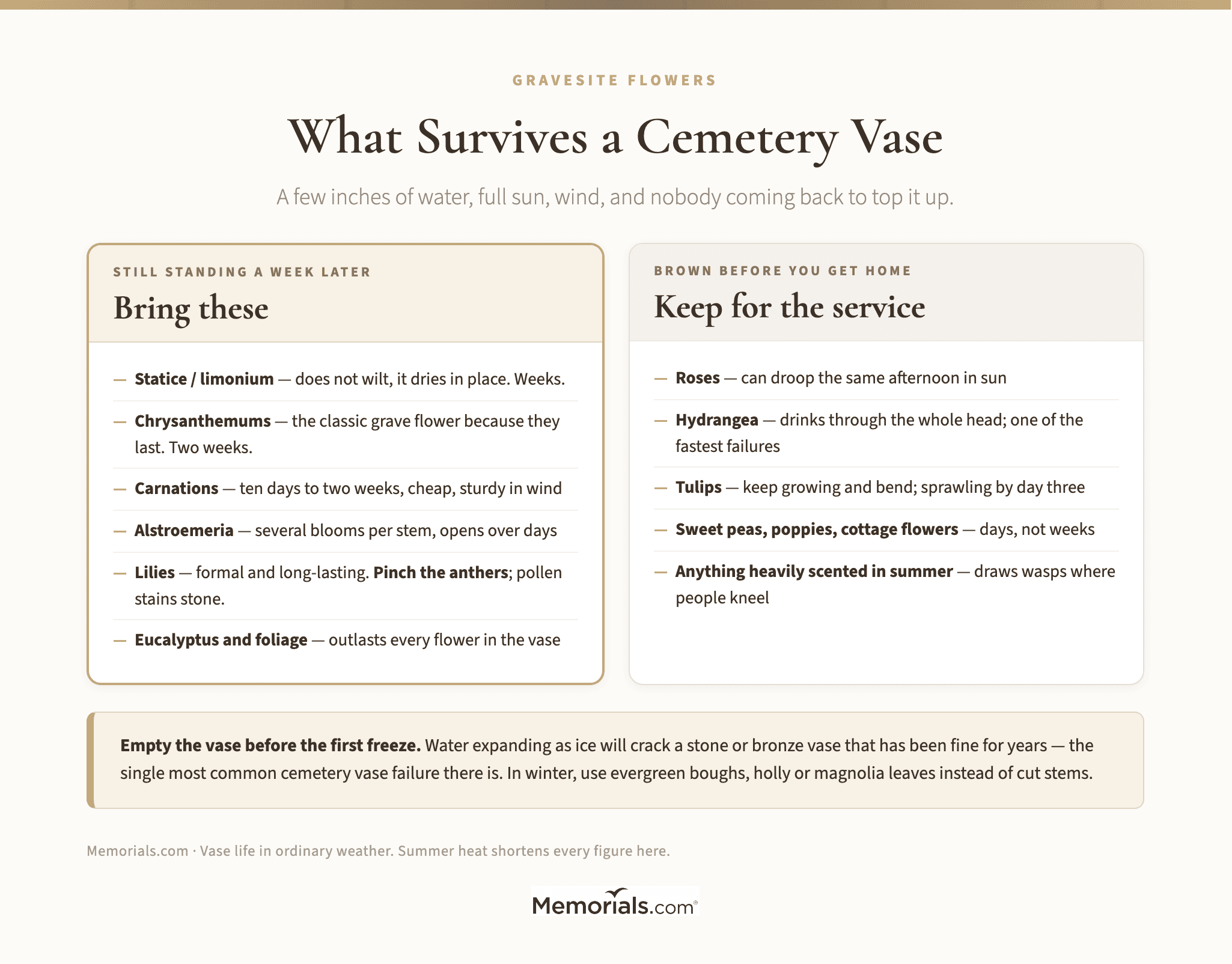 What Survives a Cemetery Vase