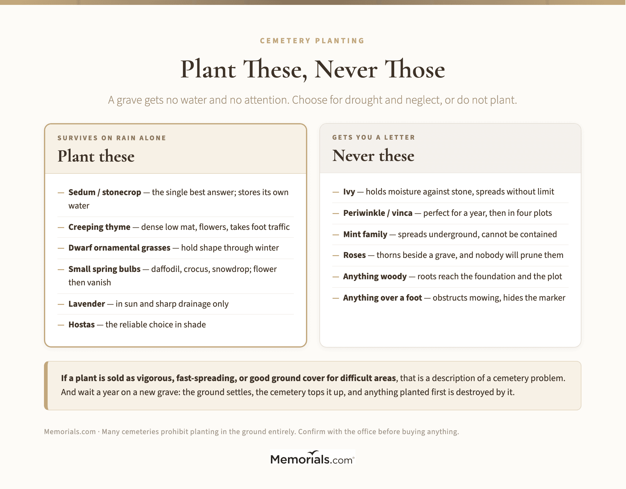 Plant These, Never Those