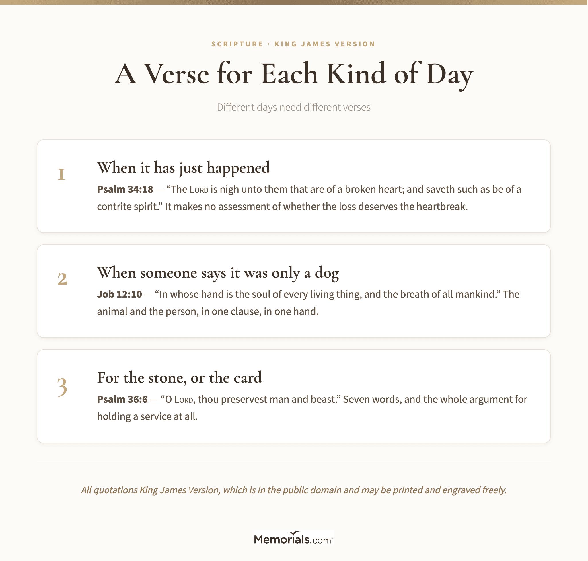 Three verses matched to three different situations a grieving pet owner might be in