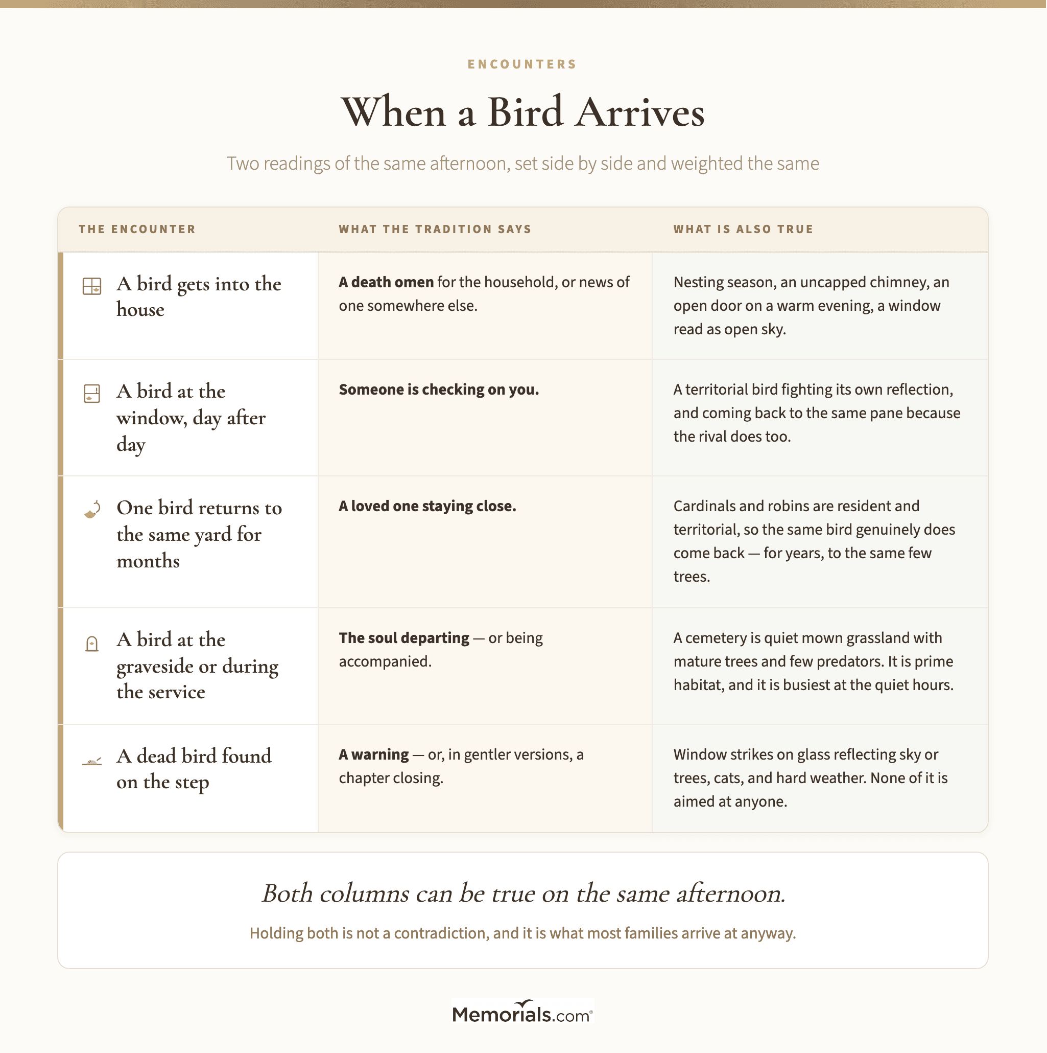 Five kinds of bird encounter set against two readings each, what the tradition says and what is also true