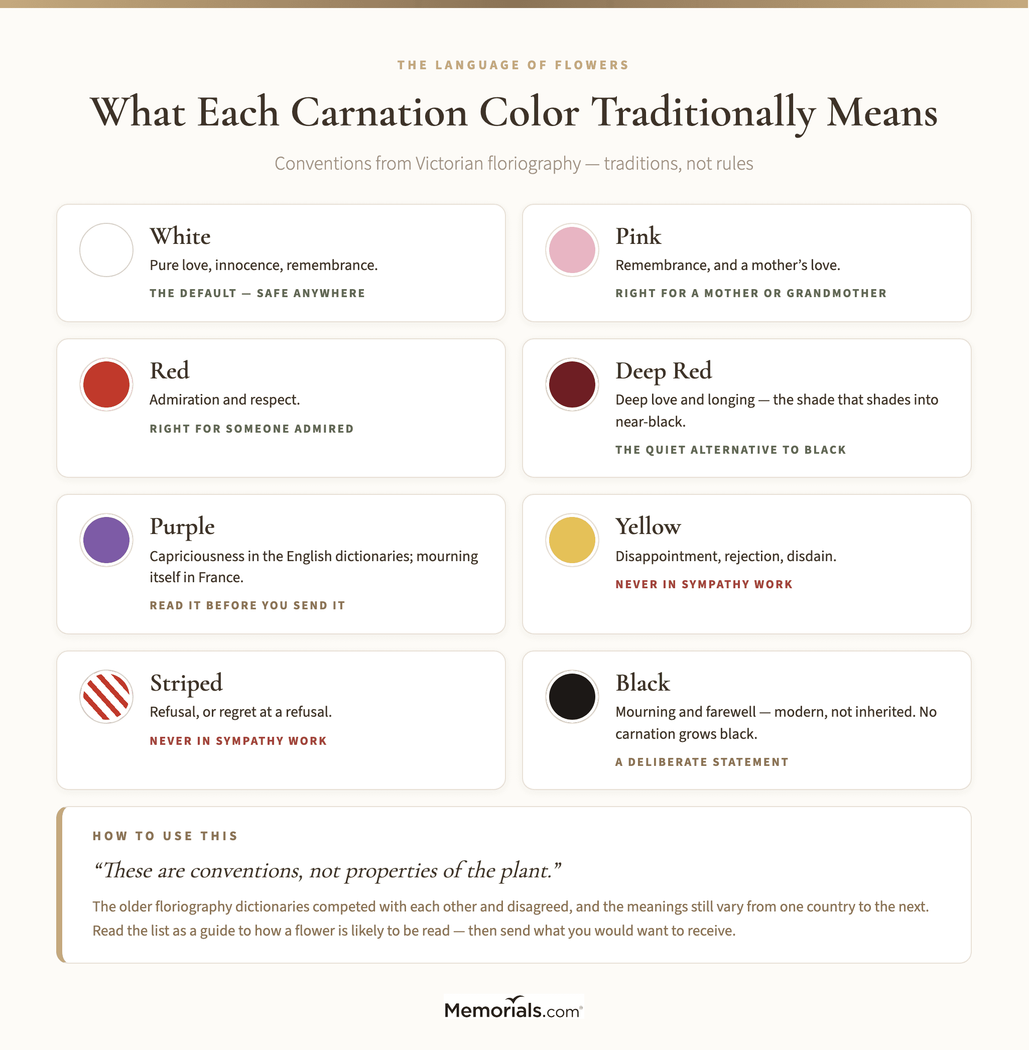 a grid of eight carnation colors, each with its traditional floriography meaning and whether it is commonly sent to a funeral