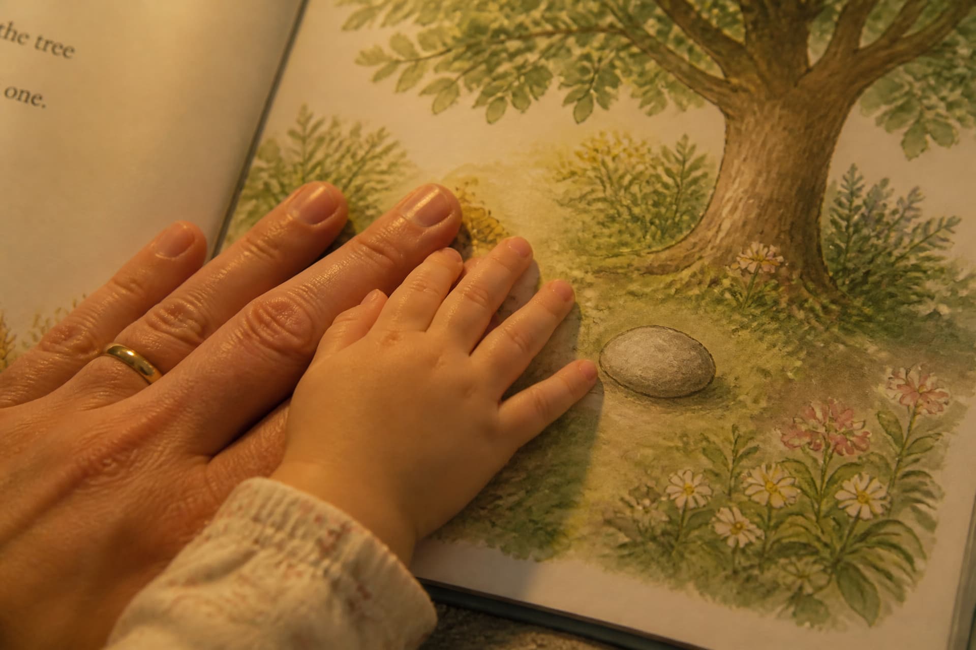 A childβs hand and an adultβs hand resting together on the open page of a picture book