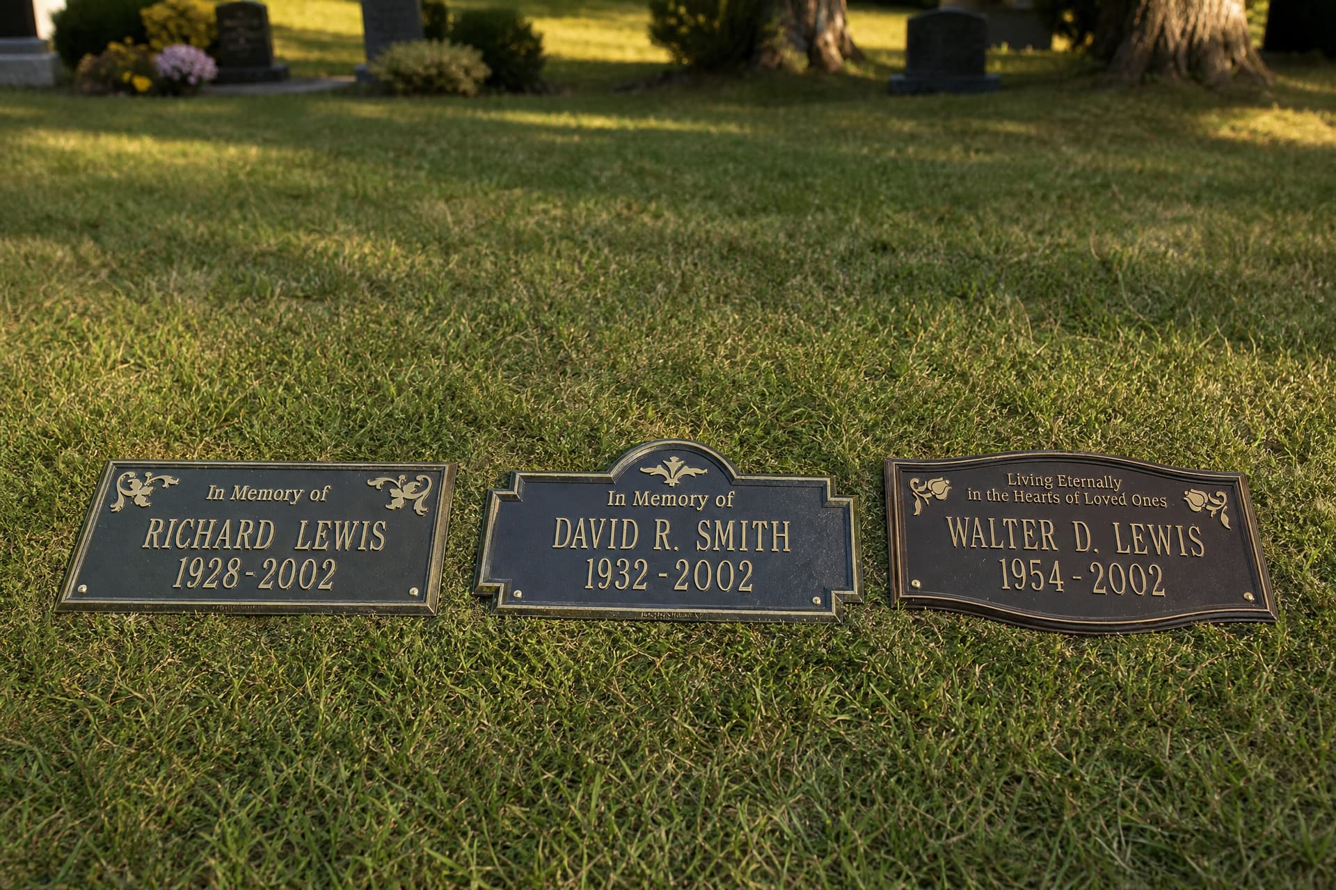 Three bronze dedication plaques with raised gold lettering set flush in a sunlit cemetery lawn, one rectangular with corner scrollwork, one arched, one shaped with an extra line of text