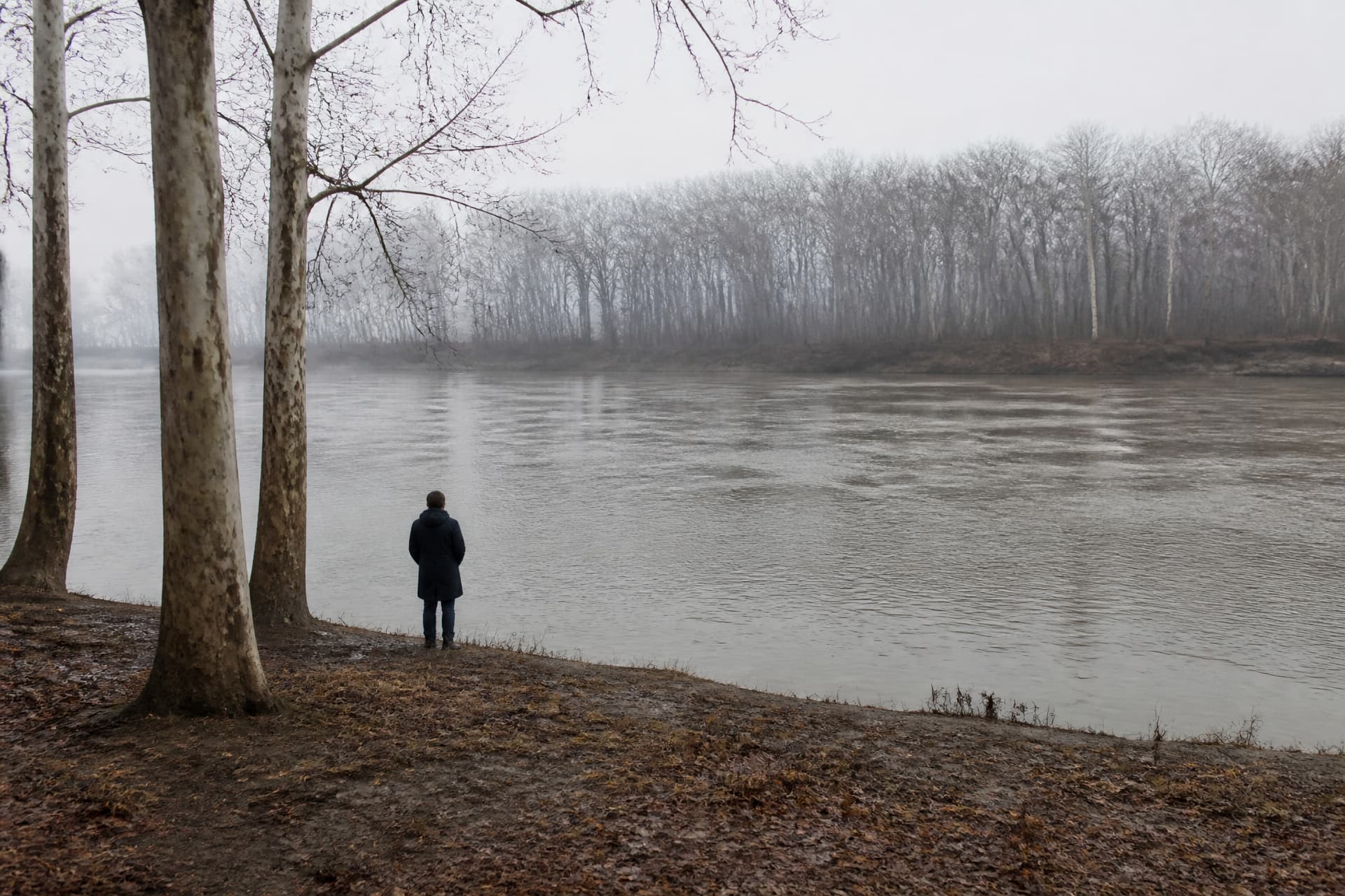 A wide gray-brown Midwestern river under flat overcast light in late afternoon, seen from a leaf-covered wooded bank, one person in a dark knee-length winter coat standing at the water's edge with their back to the camera beneath bare mottled sycamores, more bare trees and low mist along the far shore, and no road, path, bridge, building or boat in frame