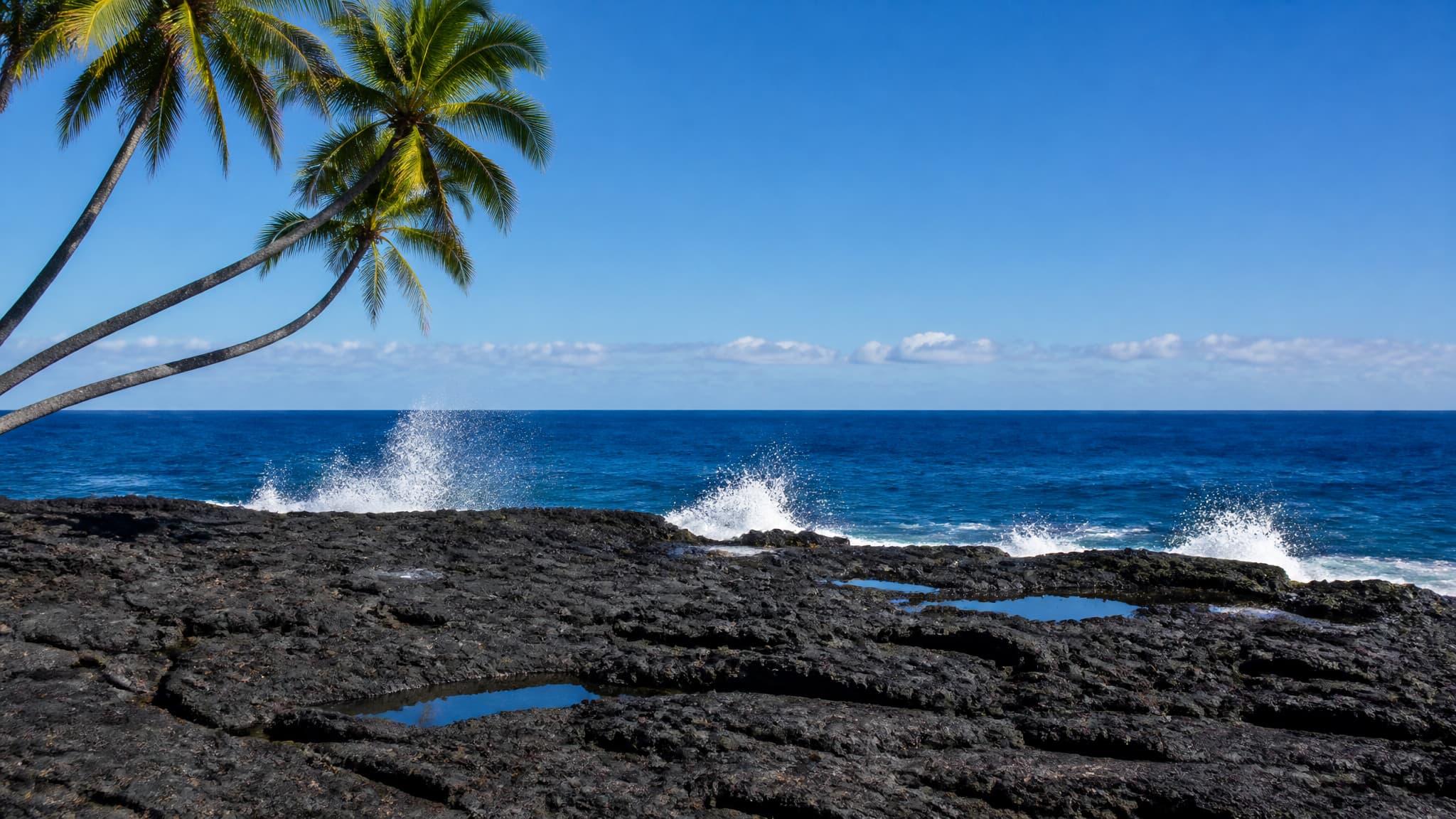 A Hawaiian shoreline of black volcanic rock with white surf breaking against it, coconut palms leaning in from the left of the frame, and the flat blue Pacific running out to an empty horizon under bright daylight