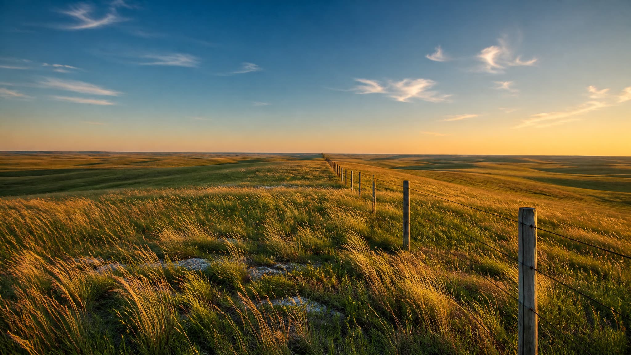 Kansas Flint Hills tallgrass in low late-afternoon light, rolling grass running unbroken to the horizon with no tree anywhere in frame, and a barbed-wire fence line on weathered wooden posts running away over the rise