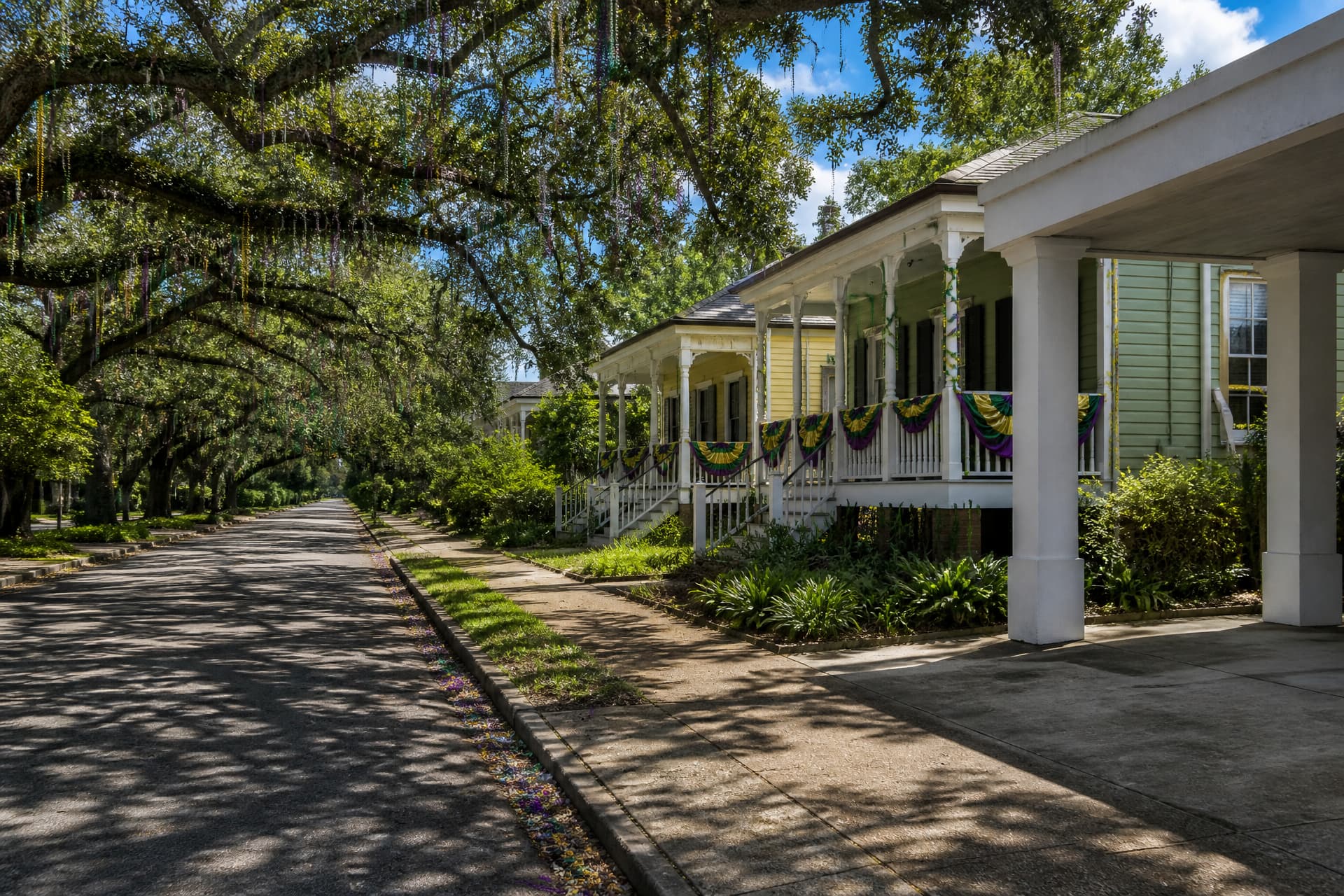 A live oak street in a small Louisiana town the day after a parade, purple, green and gold bunting on two raised porches, beads caught in the branches overhead, and a white drive-through canopy over an empty driveway