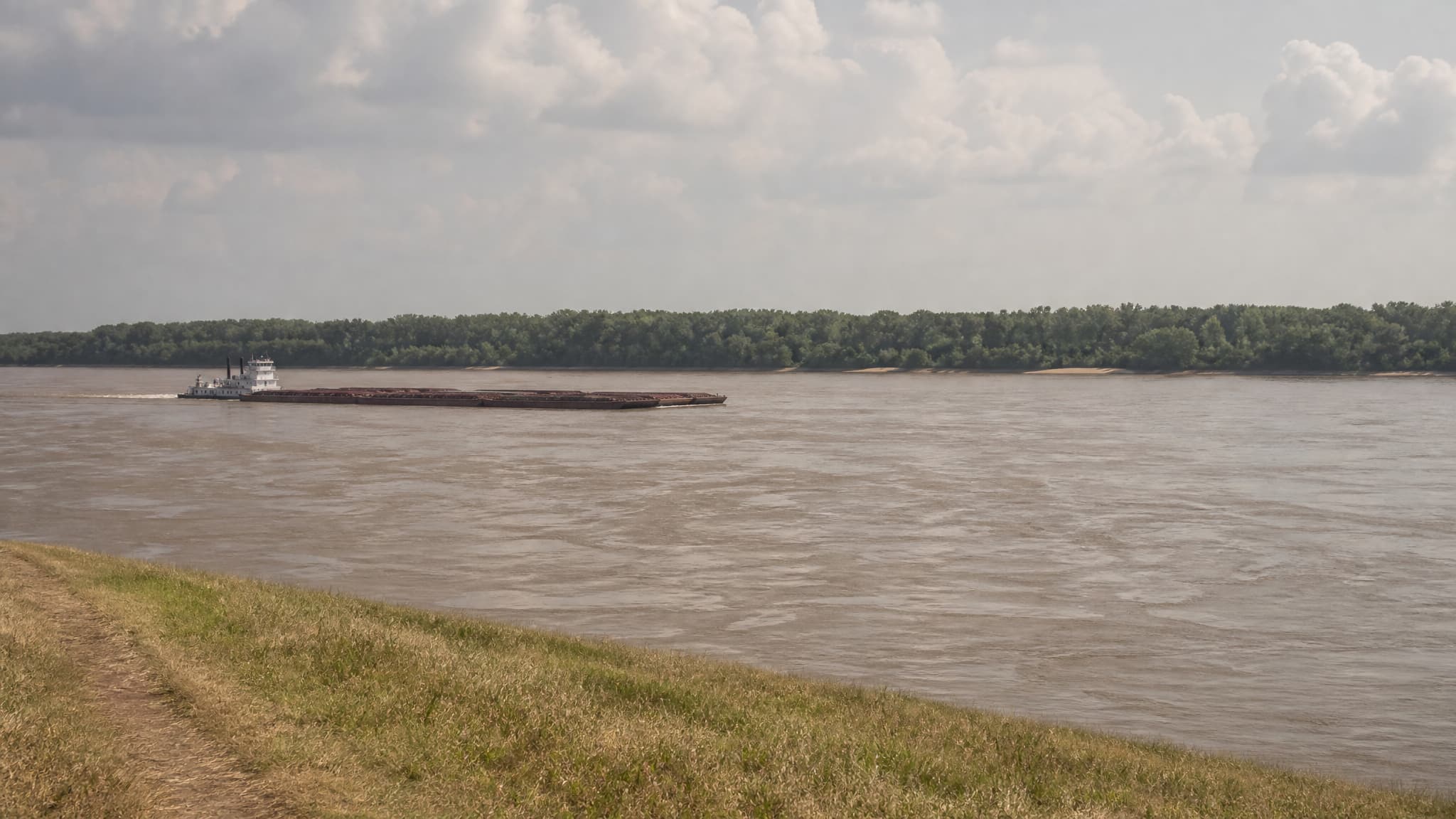 A towboat pushing a long tow of loaded barges up the wide brown Mississippi River, seen from a grassy levee crest, with a low green treeline on the far bank under a hazy summer sky