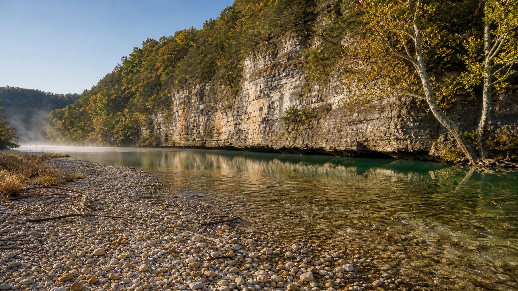 A clear Ozark spring-fed river running shallow over a pale gravel bar in morning light, a gray limestone bluff perhaps eighty feet high rising on the far bank, sycamores leaning out over the green water