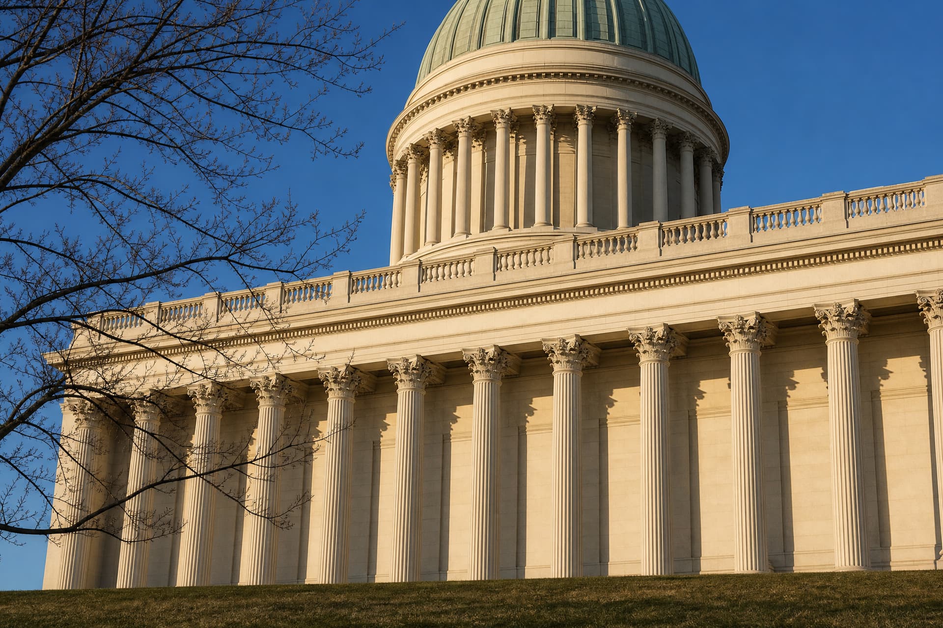 The dome of a state capitol building in clear early morning light, seen from the lawn below through the bare branches of young oaks, its pale stone drum and columns lit from the left against a plain blue sky