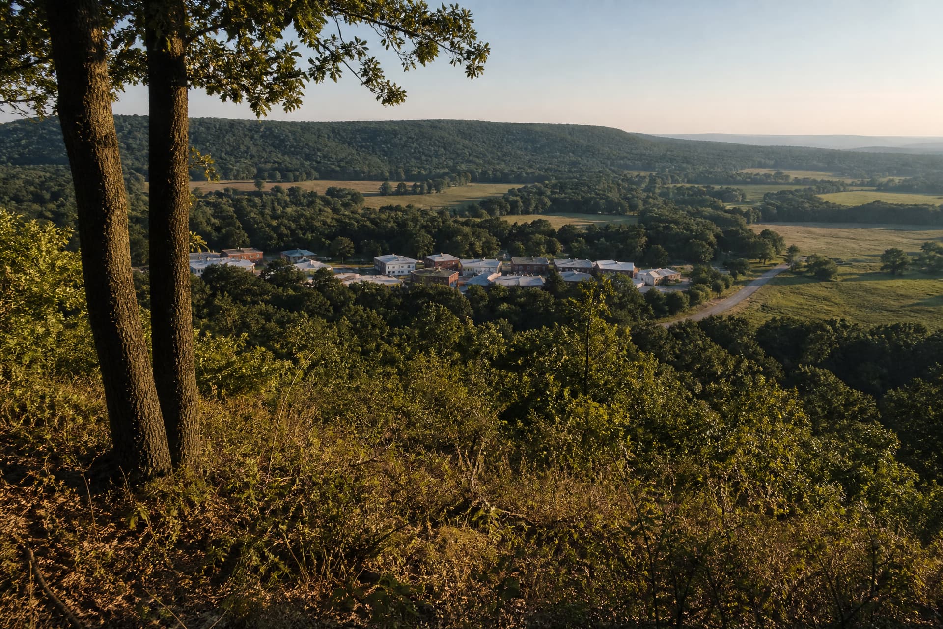 A small eastern Oklahoma town in a wooded valley seen in late afternoon from the flank of a steep hill, oak trunks in the foreground, low brick and painted buildings among heavy tree canopy, one long forested ridge behind