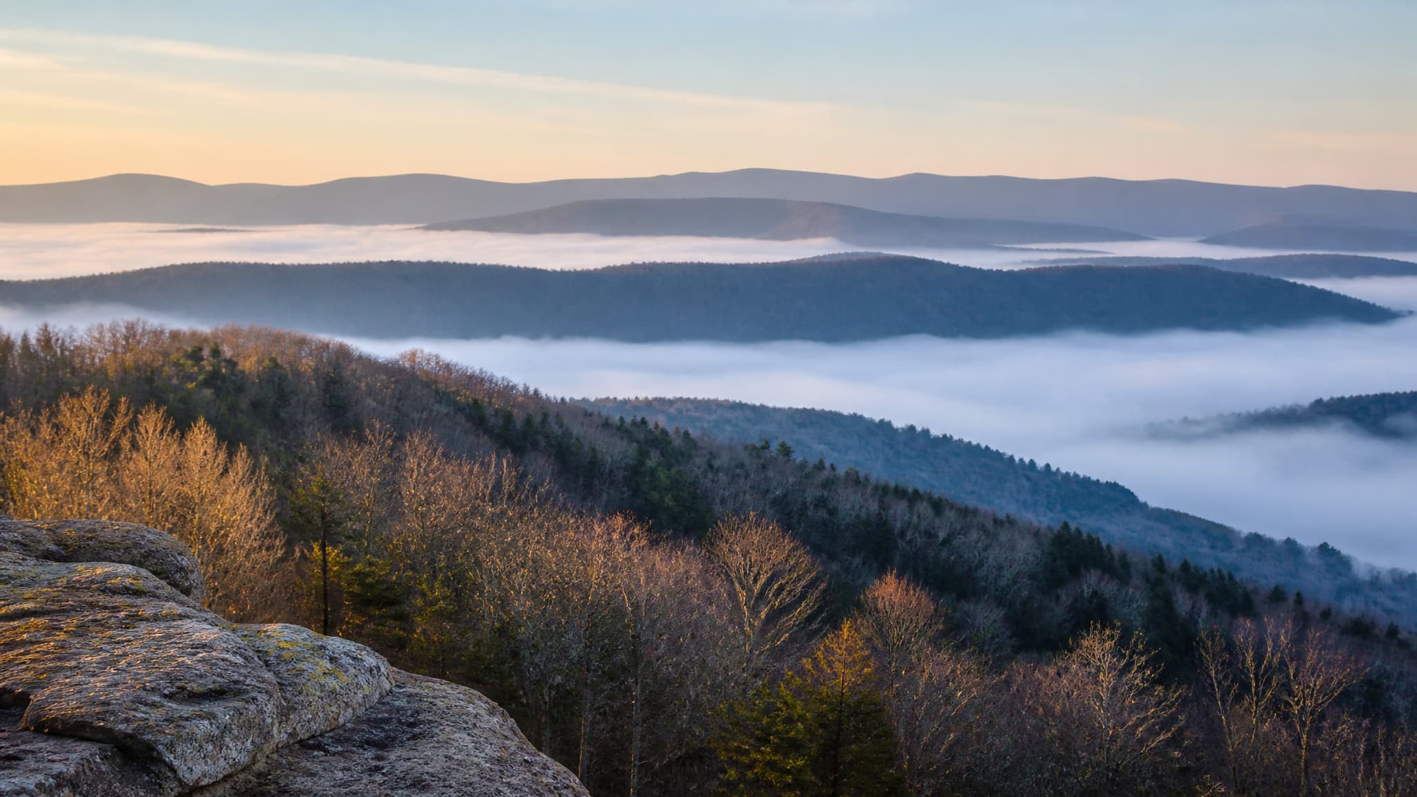 Layered Cumberland Plateau ridgelines at sunrise from a lichened rock ledge, four ranges receding from gold-lit autumn hardwoods to pale blue-gray, white mist lying in the valleys between them