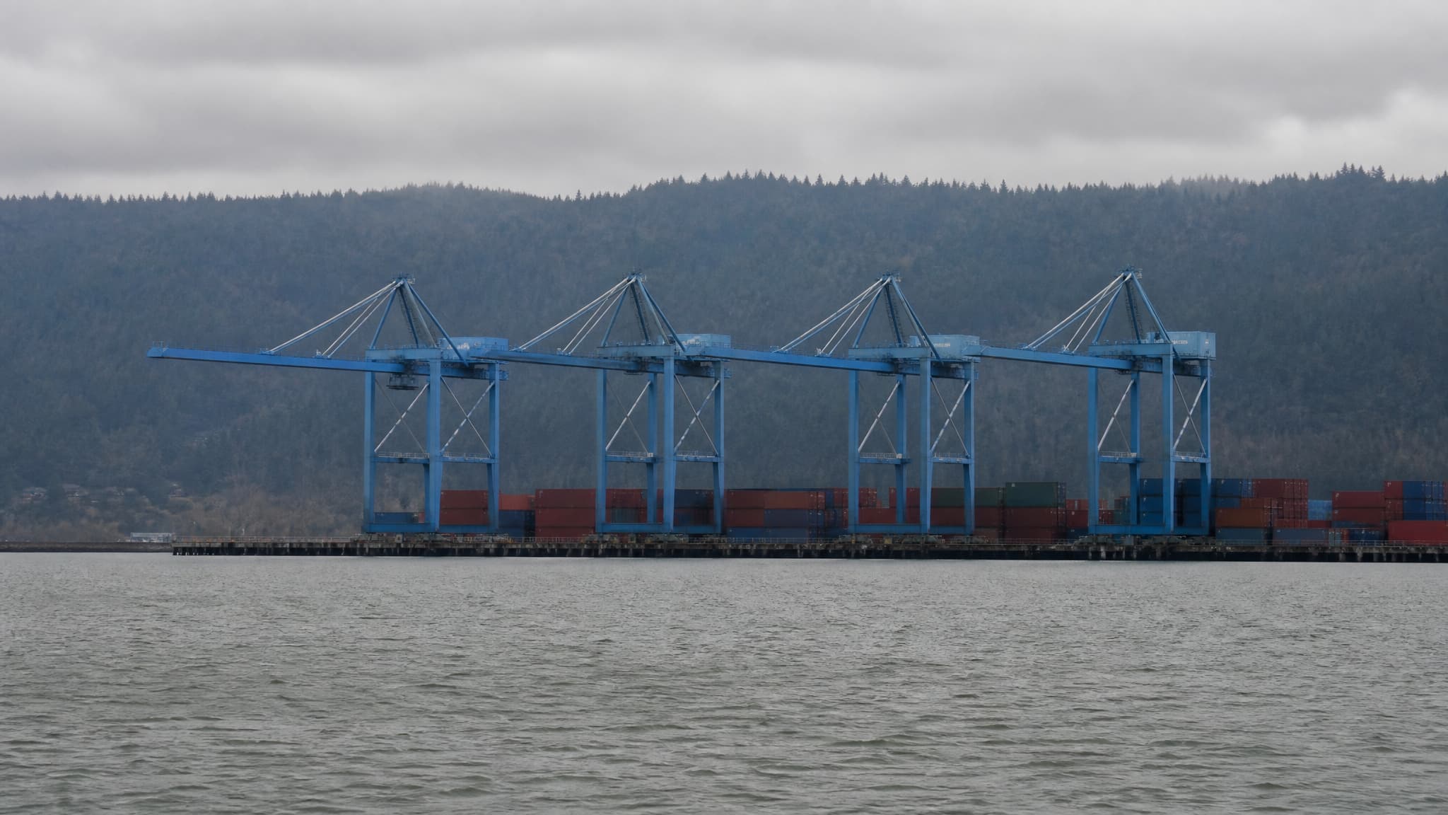 The Seattle working waterfront under low gray cloud, four blue container gantry cranes standing over a pier with stacked shipping containers beneath them, dark evergreen hills rising across the gray water behind