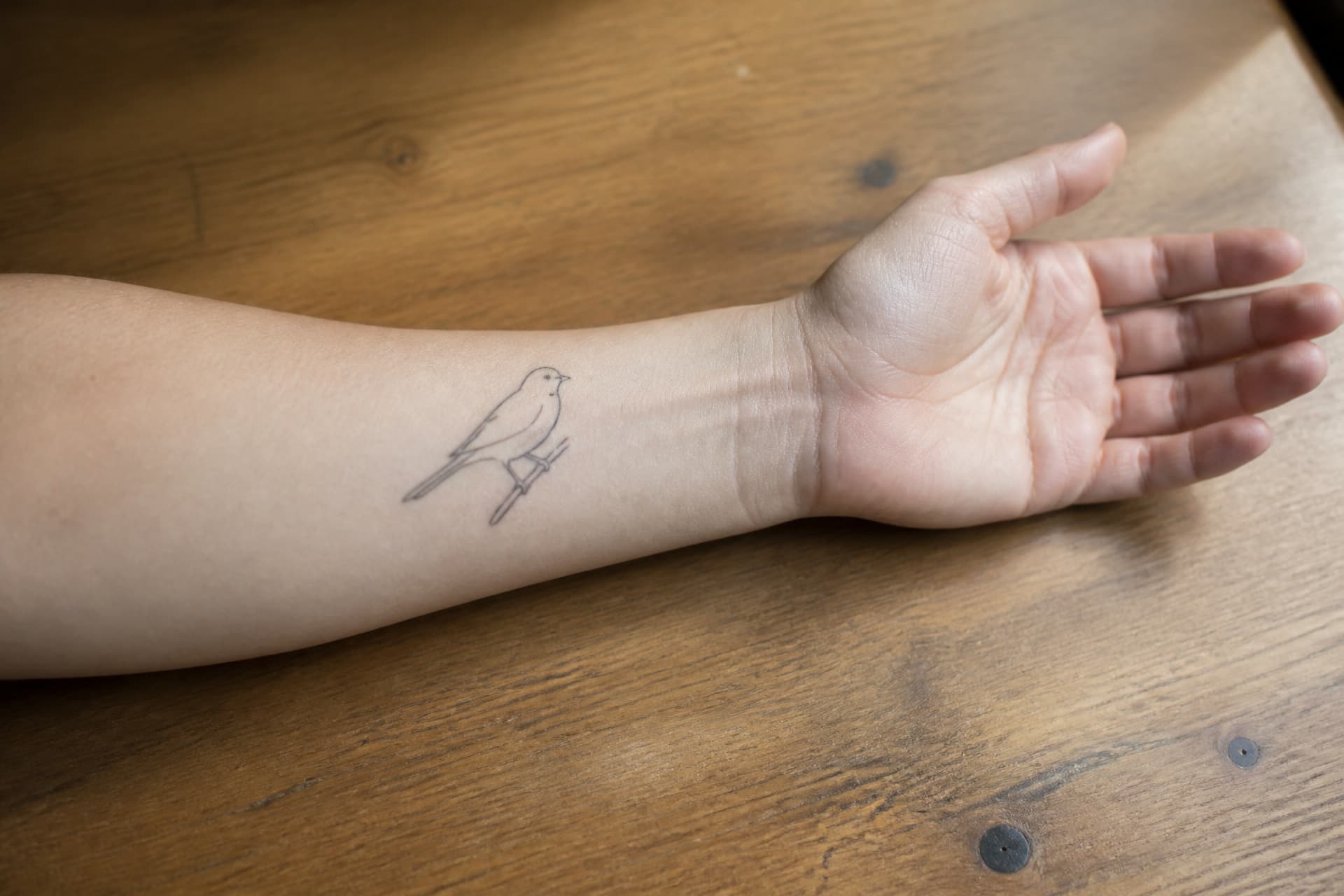 A close crop of a healed fine-line bird tattoo on a forearm resting on a wooden table in natural window light