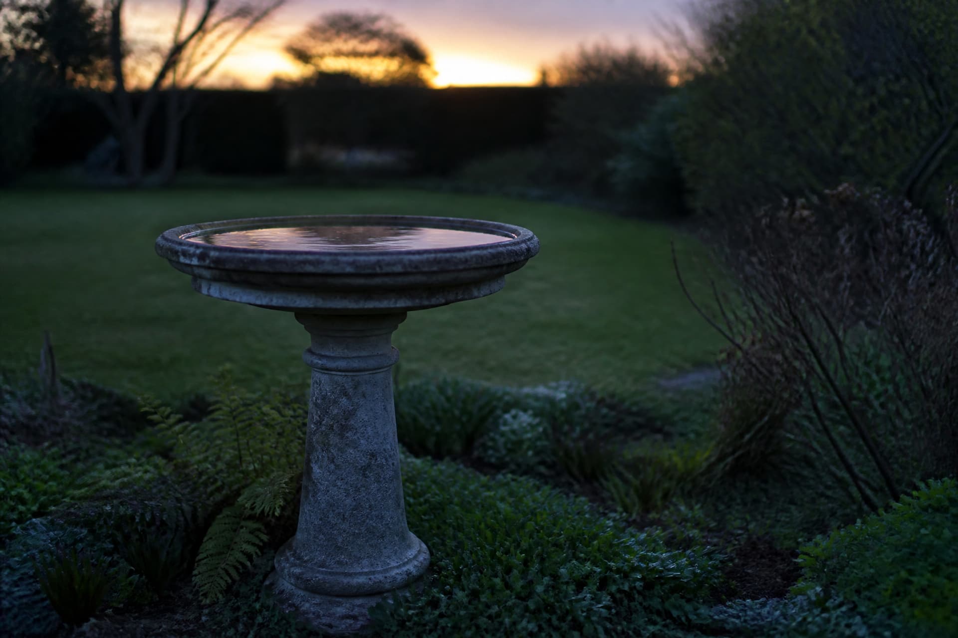 A weathered stone bird bath in a quiet garden at dusk with low green planting around its base