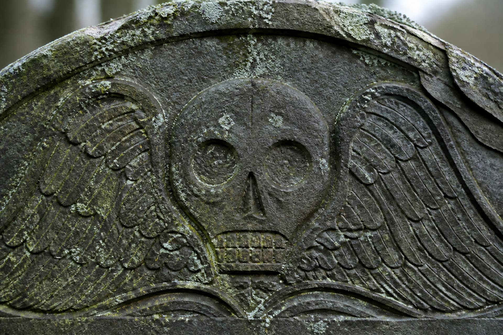 A close view of a weathered slate headstone carved with a winged skull, moss in the cut lines, framed on the carving alone with no inscription in view