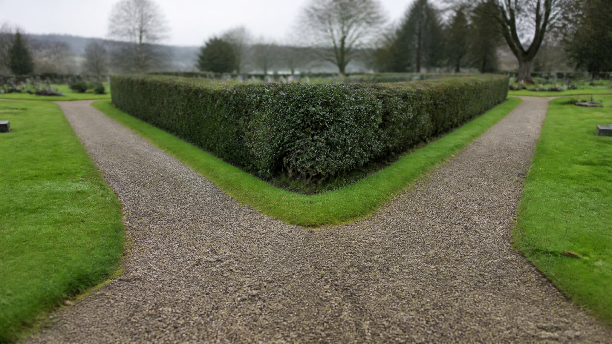 Two gravel paths diverging around a low hedge in a quiet cemetery seen from the point where they part, mown grass either side and headstones out of focus in the distance under flat overcast light
