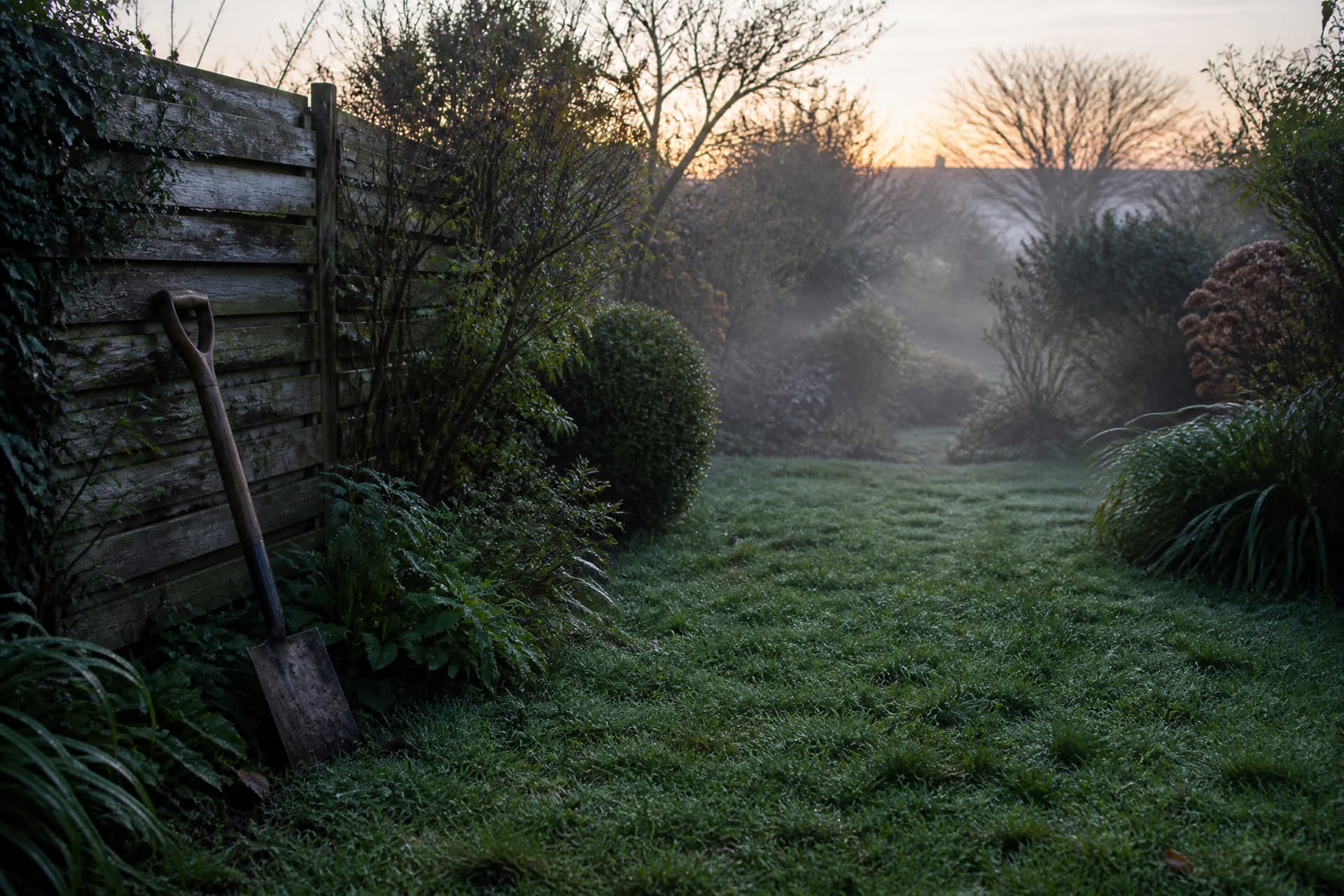 A quiet back garden at dawn with a spade leaning against a fence and dew on the grass