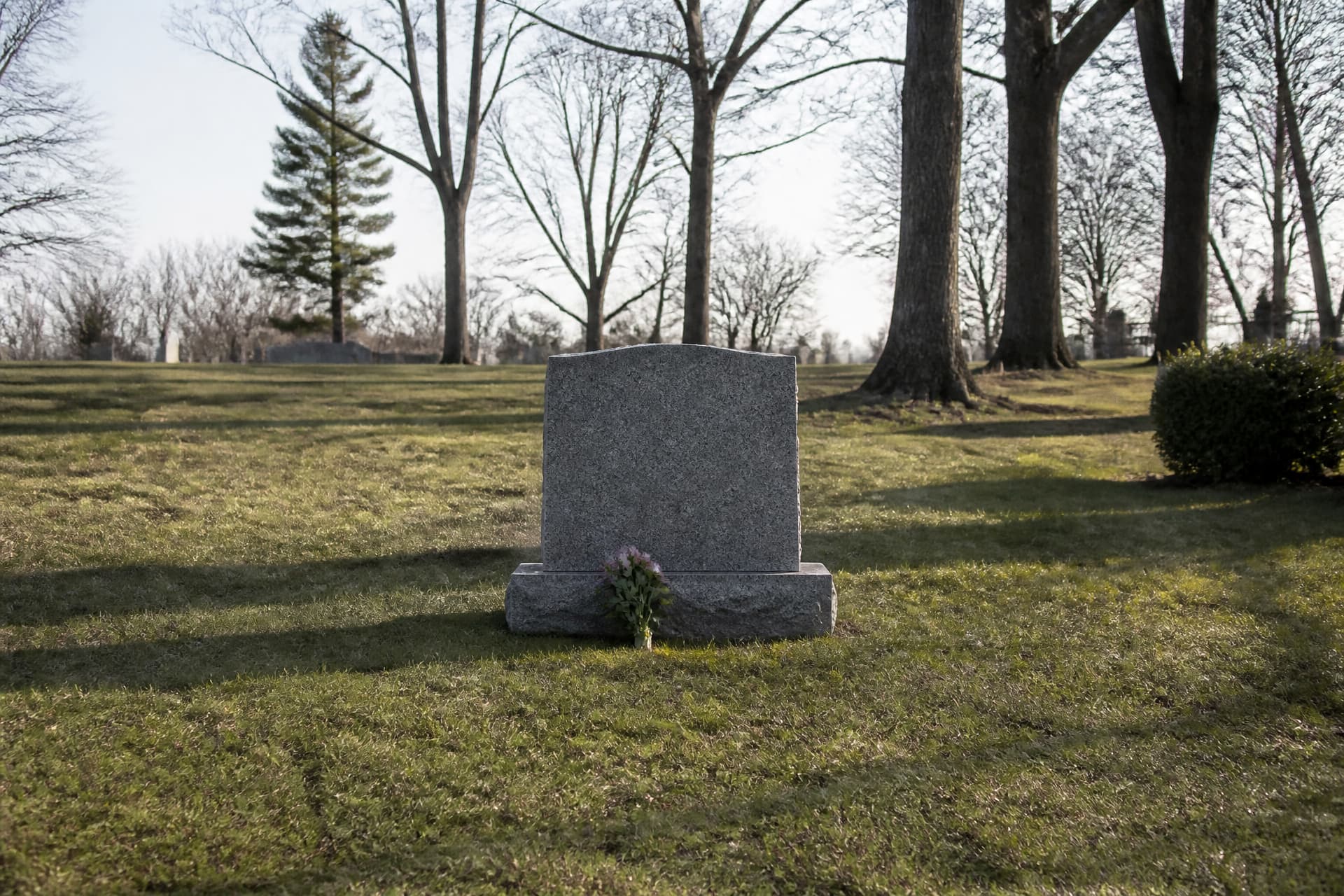 A single granite headstone in a quiet cemetery on an ordinary weekday with one small bunch of garden flowers laid at its base, long shadows across mown grass and bare trees behind