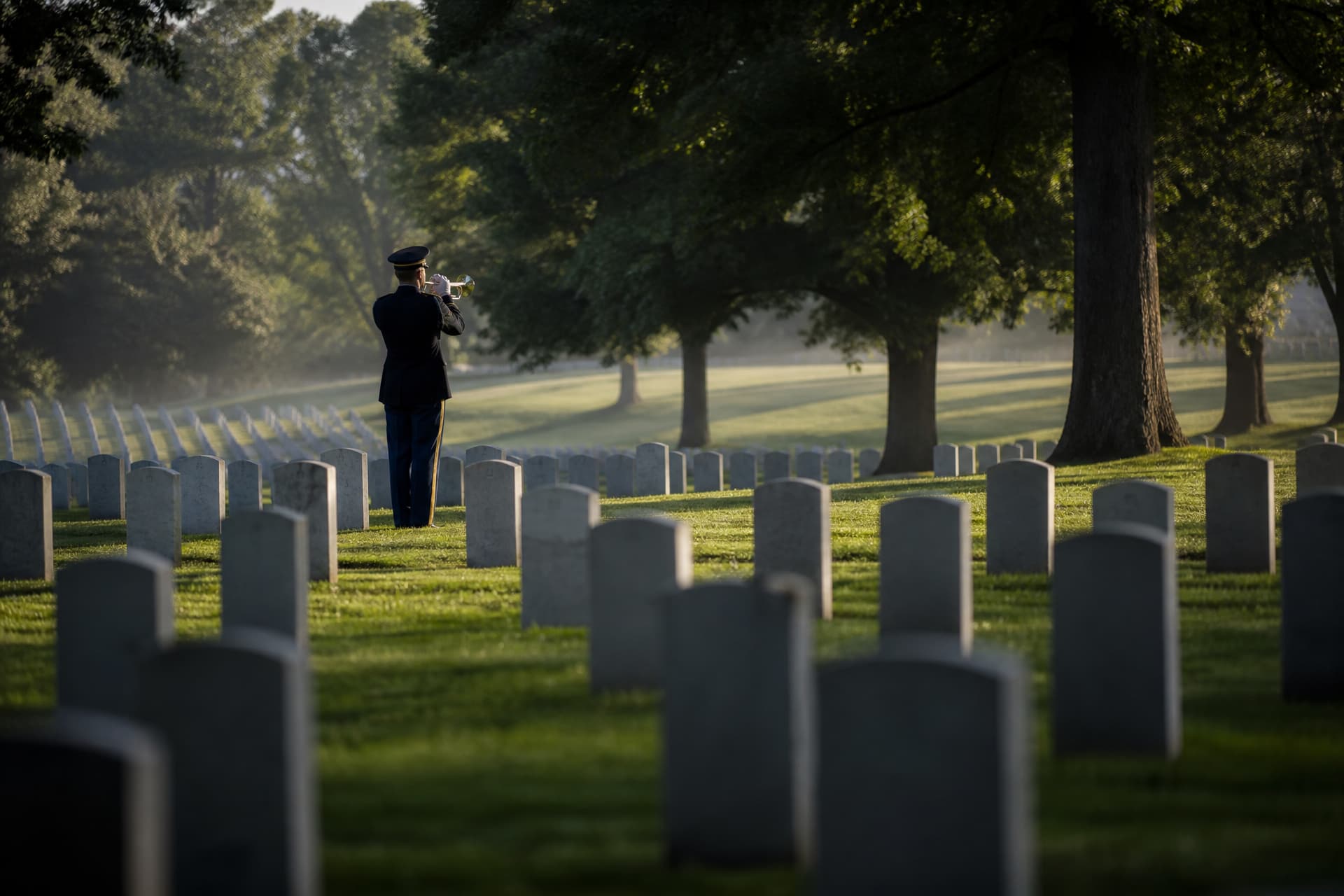 A lone bugler in dark dress uniform standing among rows of white headstones in a national cemetery at first light, seen from behind with the bugle raised