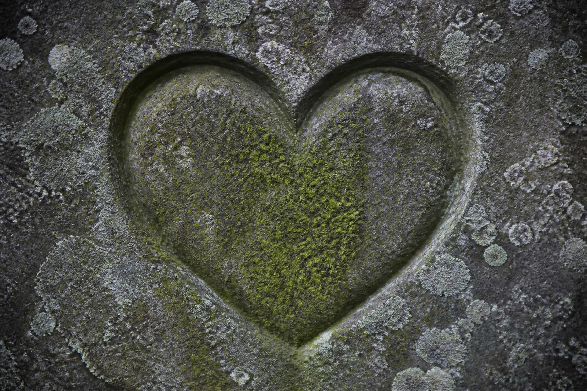A single carved heart in a weathered gray gravestone, moss growing in the cut, no lettering visible in the frame