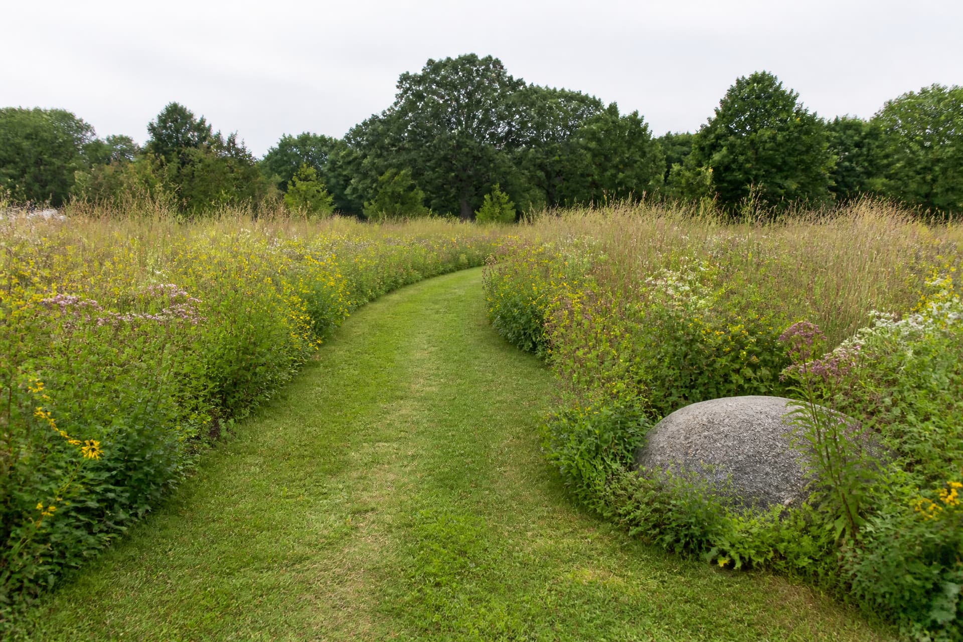 A mown grass path running between restored prairie plantings in a cemetery section, native grasses and wildflowers on both sides at knee height, a low unmarked granite boulder half-hidden in the planting, soft overcast daylight