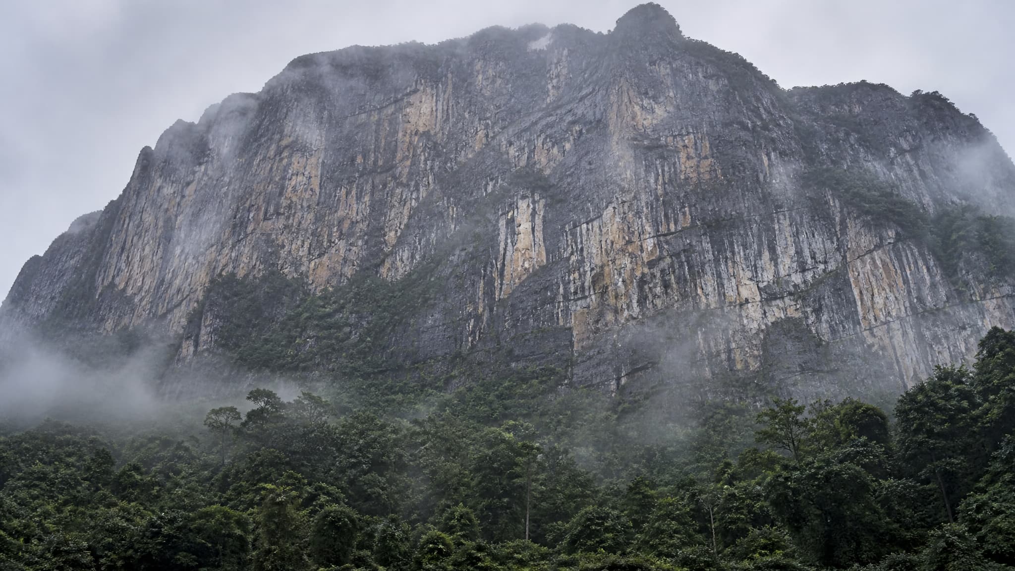 A limestone cliff face rising out of mountain forest in morning mist, seen from below at a distance