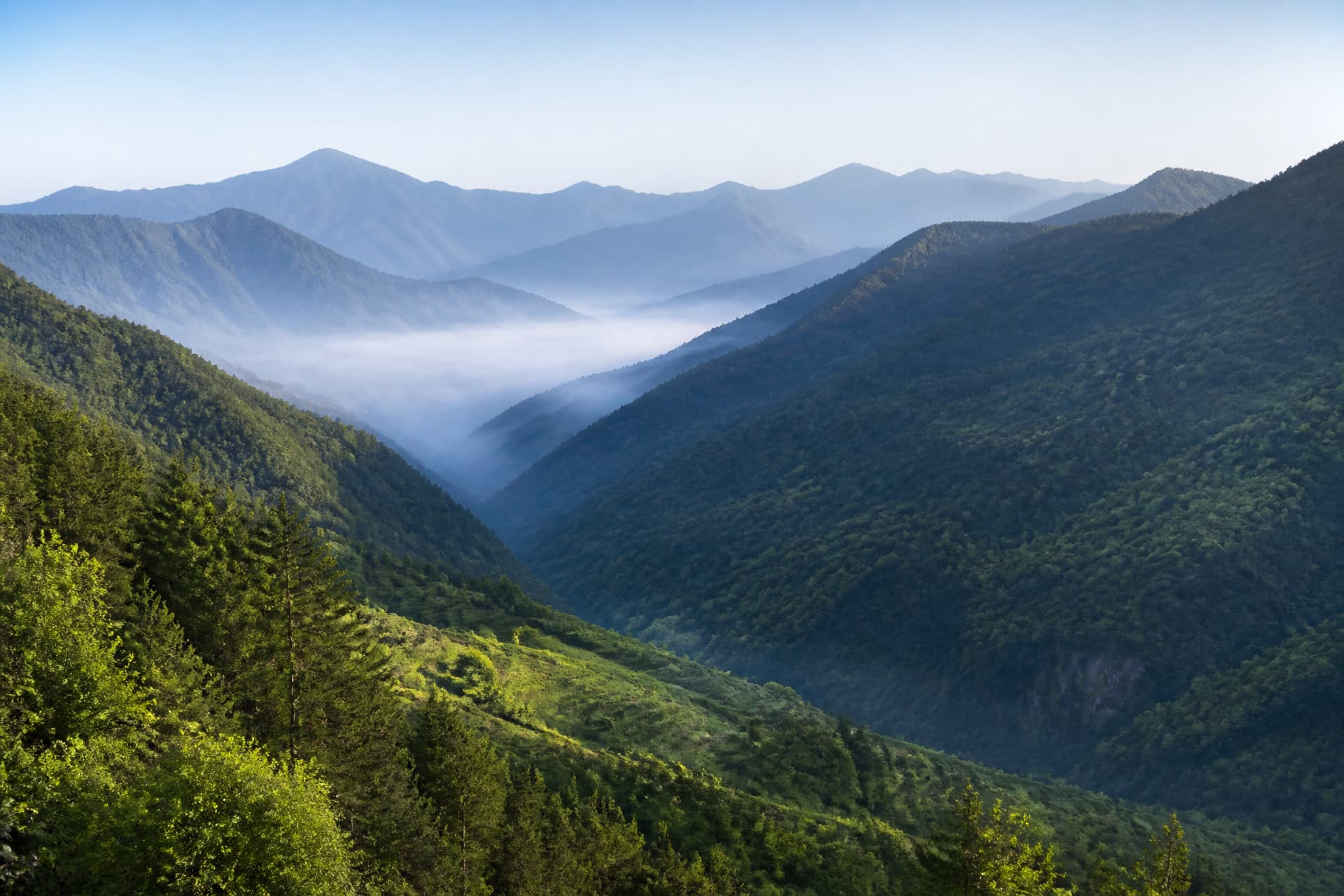 A steep forested valley in the Cordillera mountains seen from a distance, layered ridges fading into morning haze